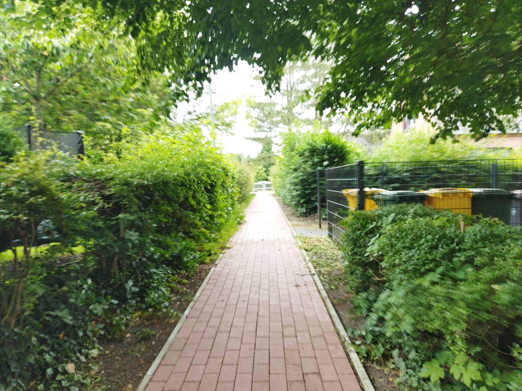 Street view near Friesenhain Ferienwohnungen, Tating — © changchun1 (CC BY-SA · Mapillary)