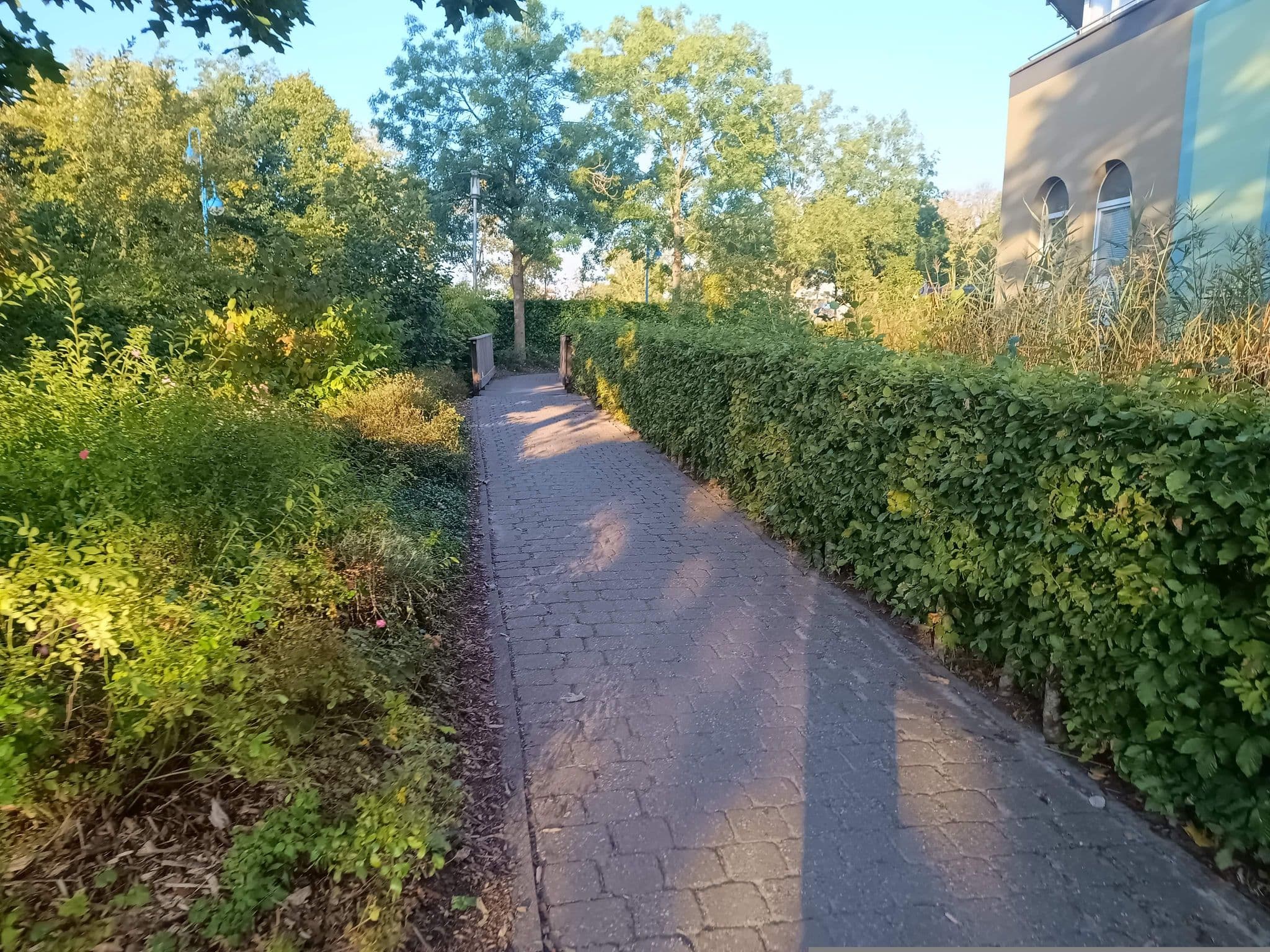 Street view near Center Parcs Nordseeküste, Butjadingen — © zuse (CC BY-SA · Mapillary)