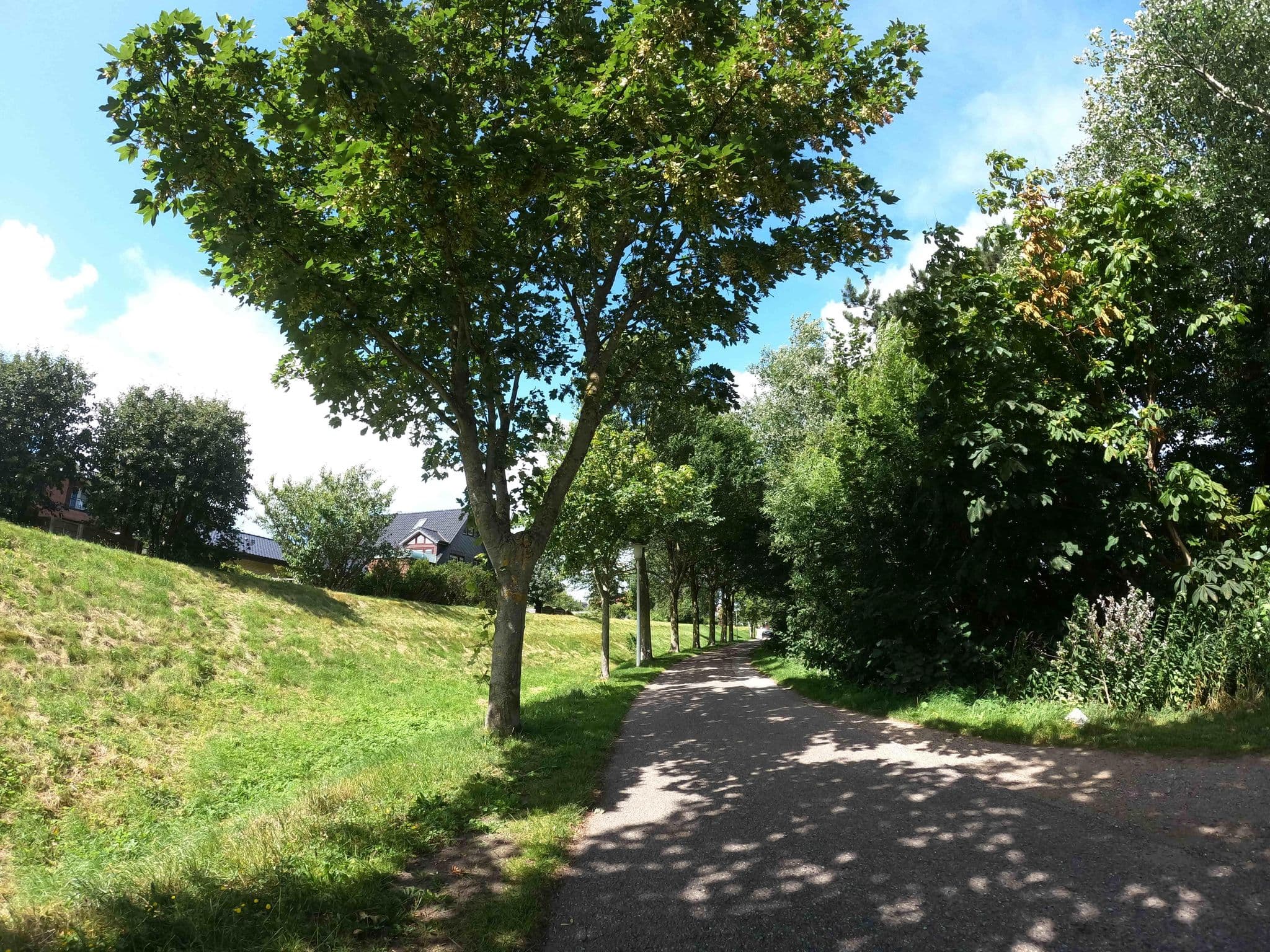Street view near Ferienhaus Sylta, Westerland — © strubbl (CC BY-SA · Mapillary)