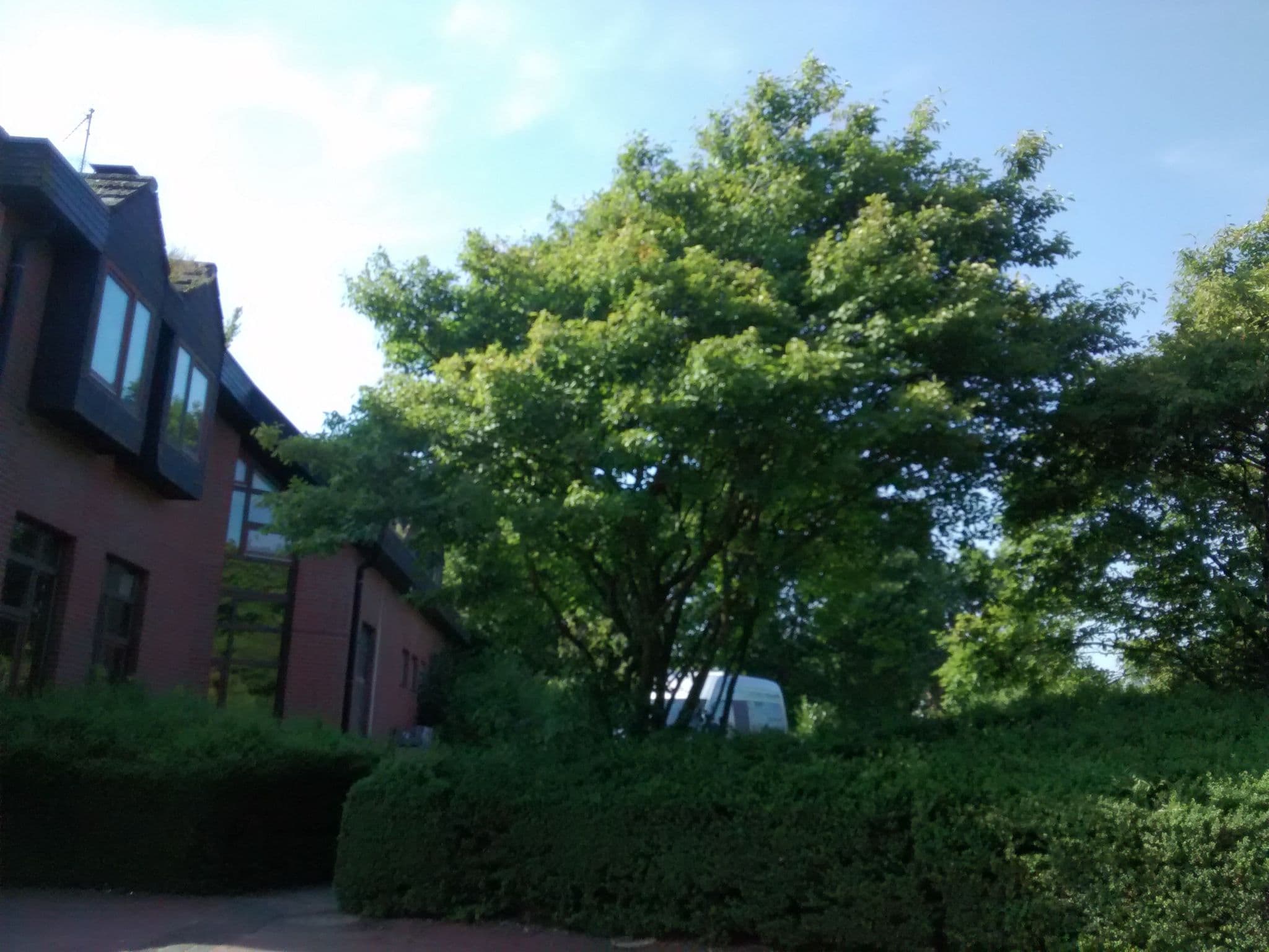 Street view near Apartment Toms Kajüte Ferienwohnung, Varel — © 48d9dc (CC BY-SA · Mapillary)