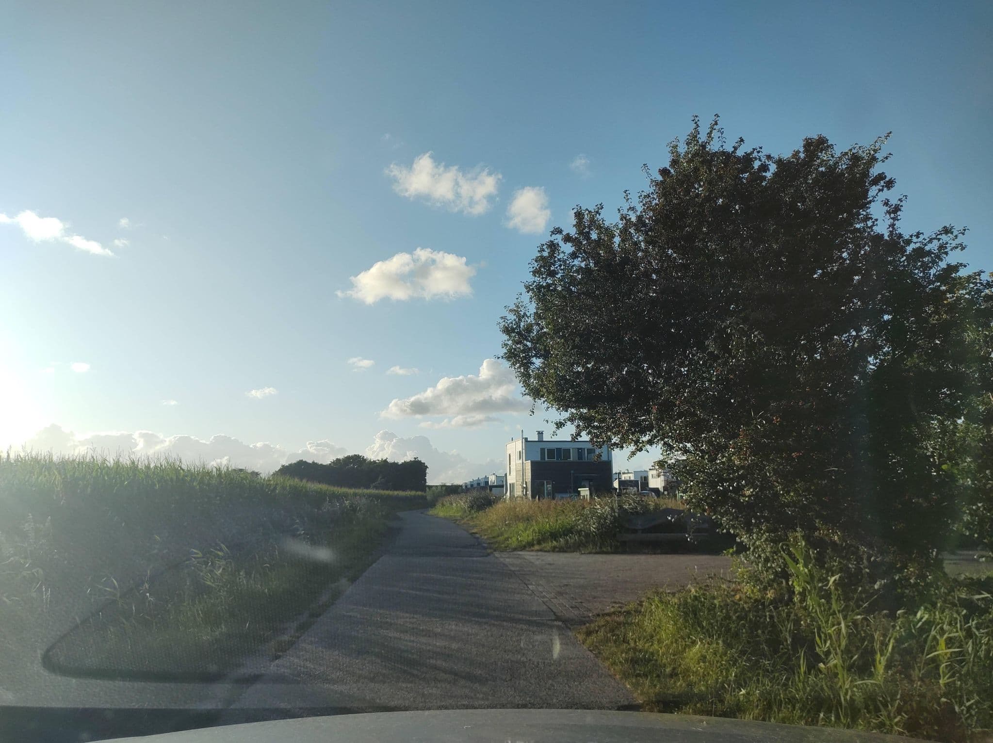 Street view near WindWeiteWattenmeer, Butjadingen — © thetornado76 (CC BY-SA · Mapillary)