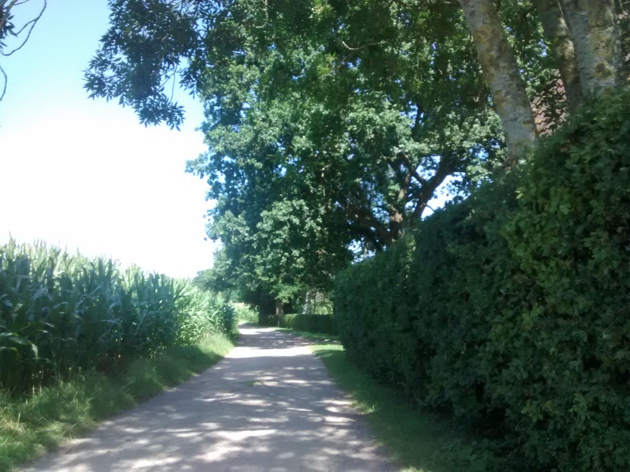 Street view near Ferienhaus Nemo, Varel — © 48d9dc (CC BY-SA · Mapillary)