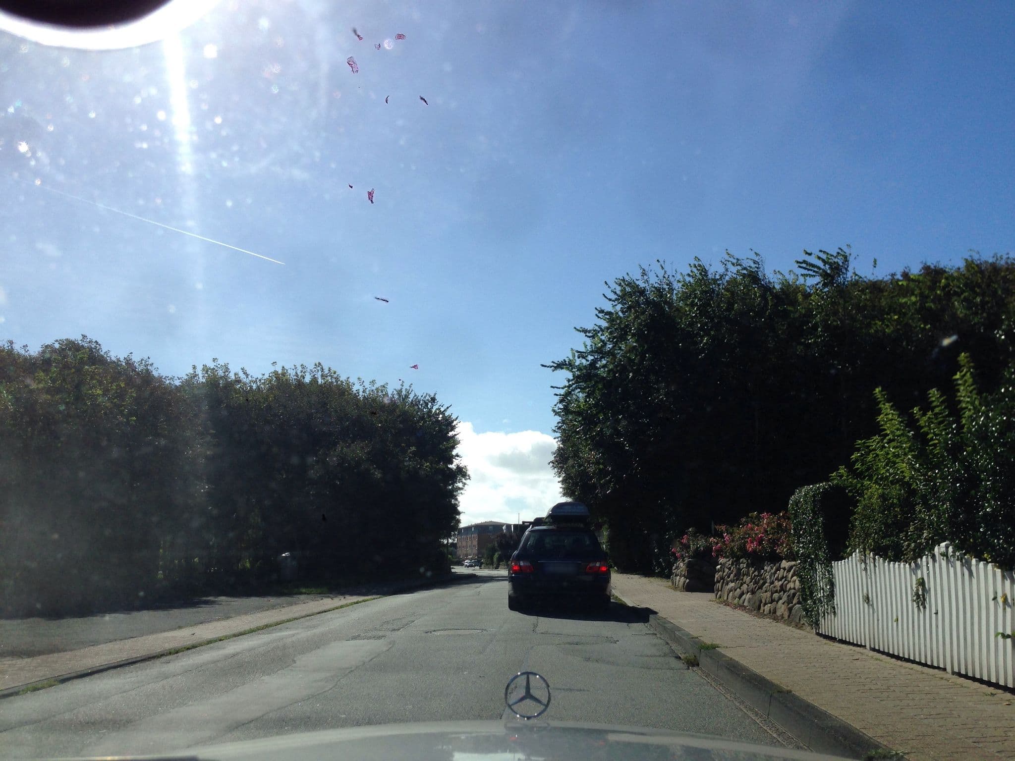 Street view near Süderhof Keitum, Westerland — © mjay (CC BY-SA · Mapillary)