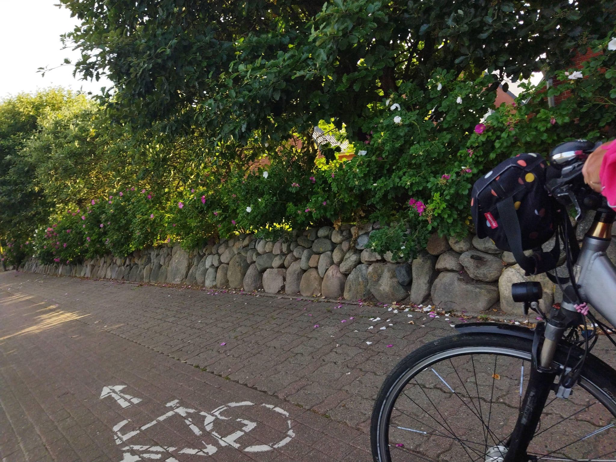 Street view near Apartment Yoursylt One, Westerland — © changchun1 (CC BY-SA · Mapillary)