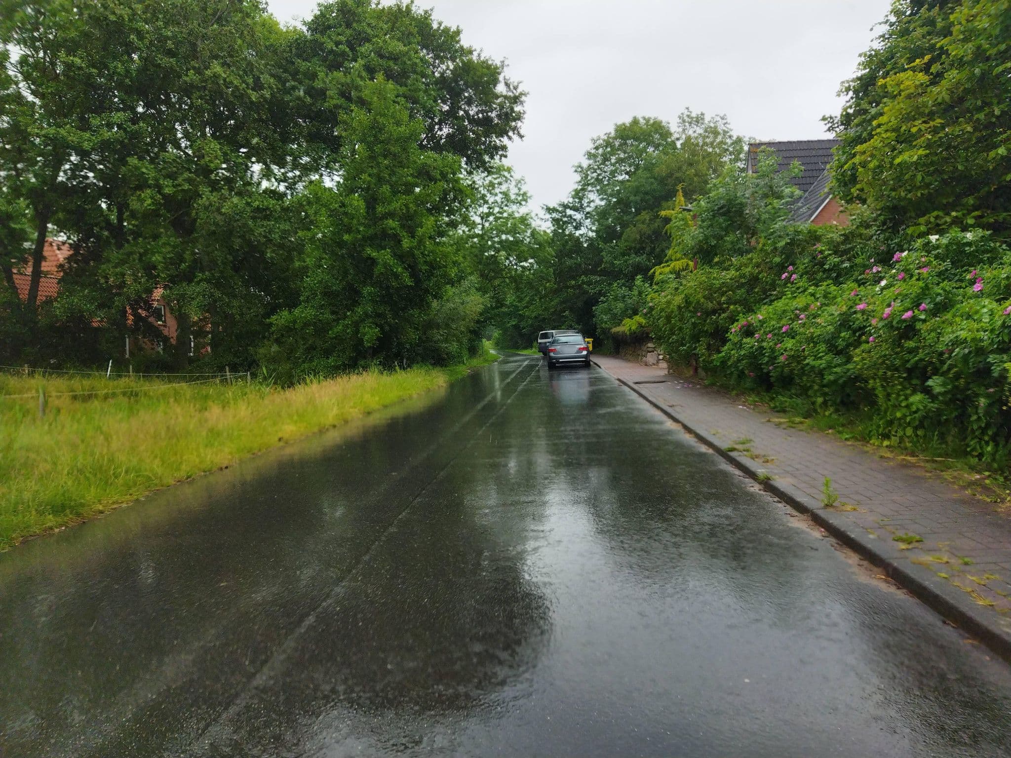 Street view near Appartement Geestblick, Garding — © changchun1 (CC BY-SA · Mapillary)