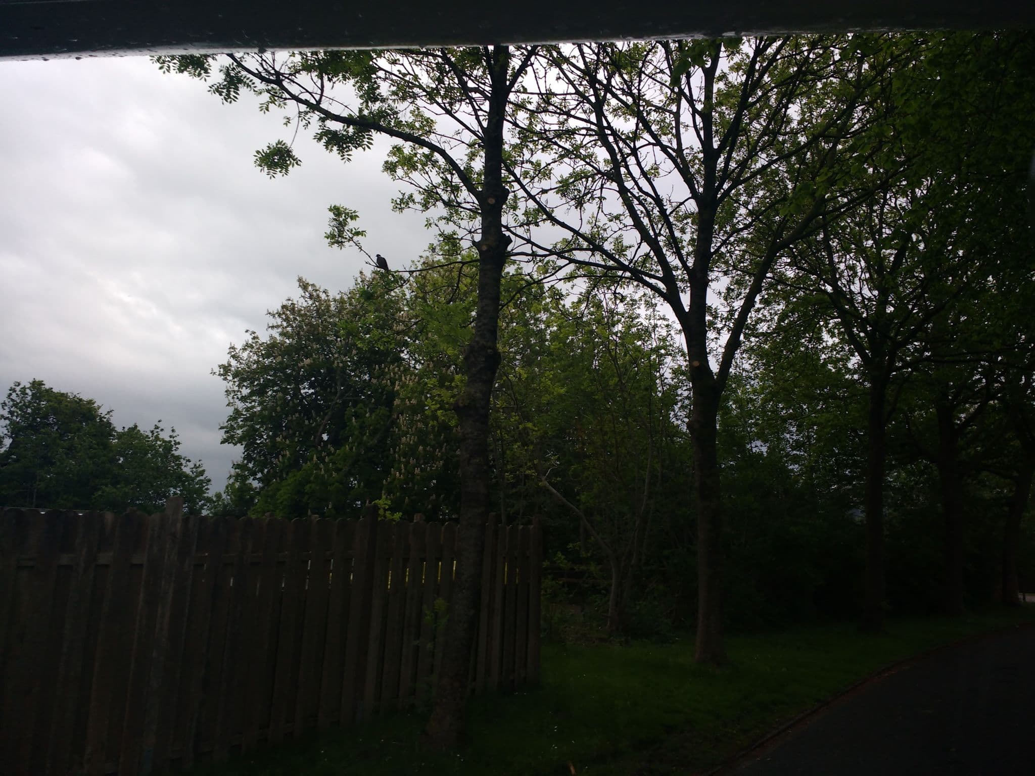 Street view near AWO Erholungsheim Schillig, Schillig — © thetornado76 (CC BY-SA · Mapillary)
