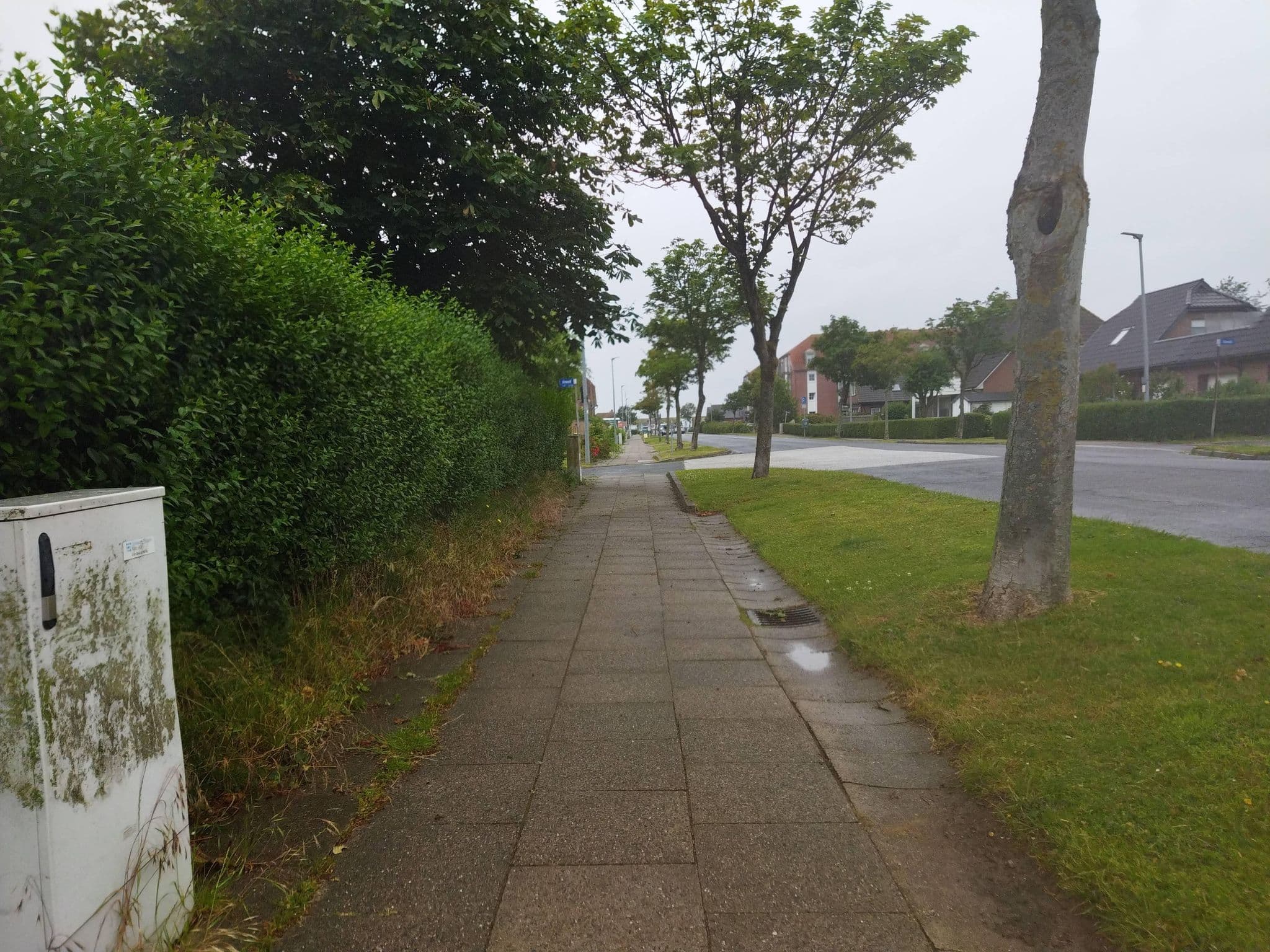 Street view near Haus Spitzenblick, Friedrichskoog — © changchun1 (CC BY-SA · Mapillary)