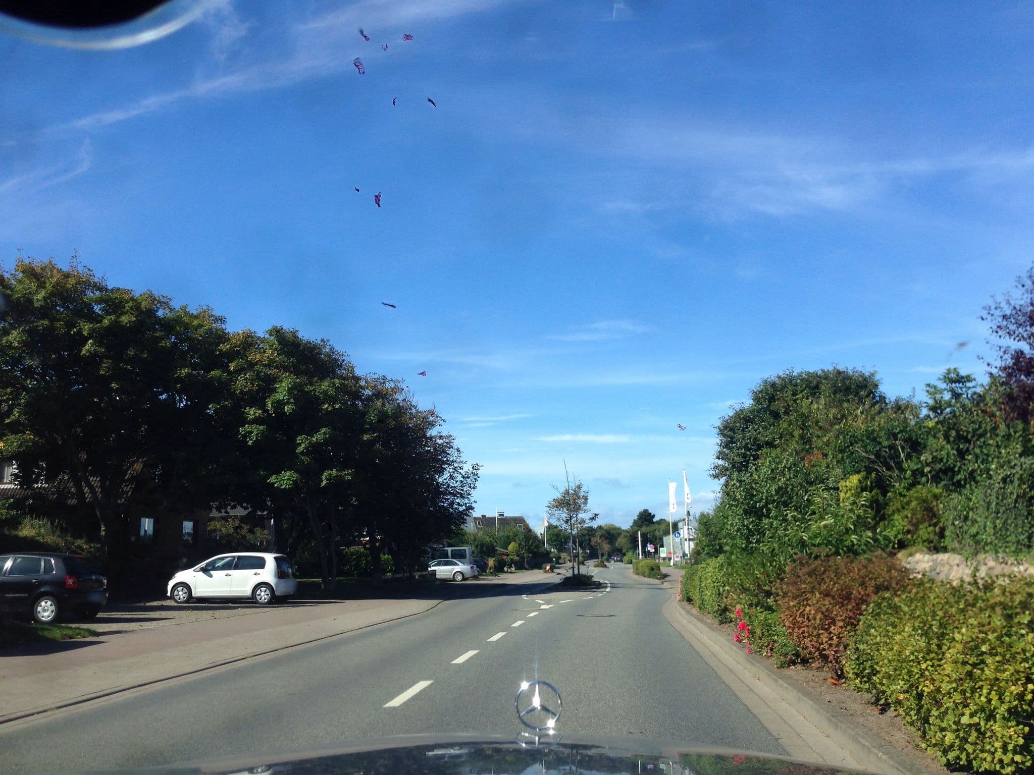 Street view near Haus Amici, Westerland — © mjay (CC BY-SA · Mapillary)