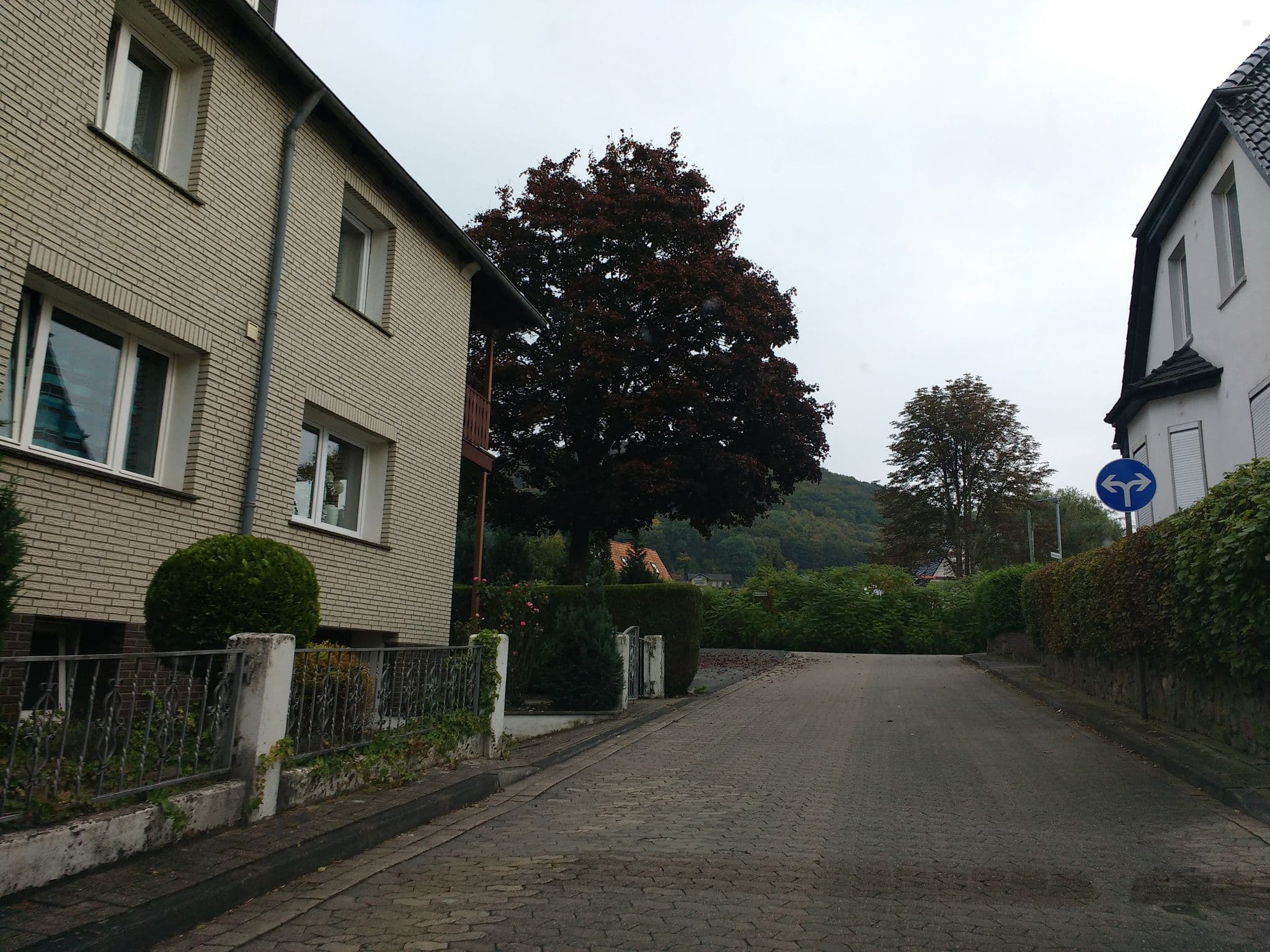 Street view near Haus Waldblick, Lügde — © thetornado76 (CC BY-SA · Mapillary)