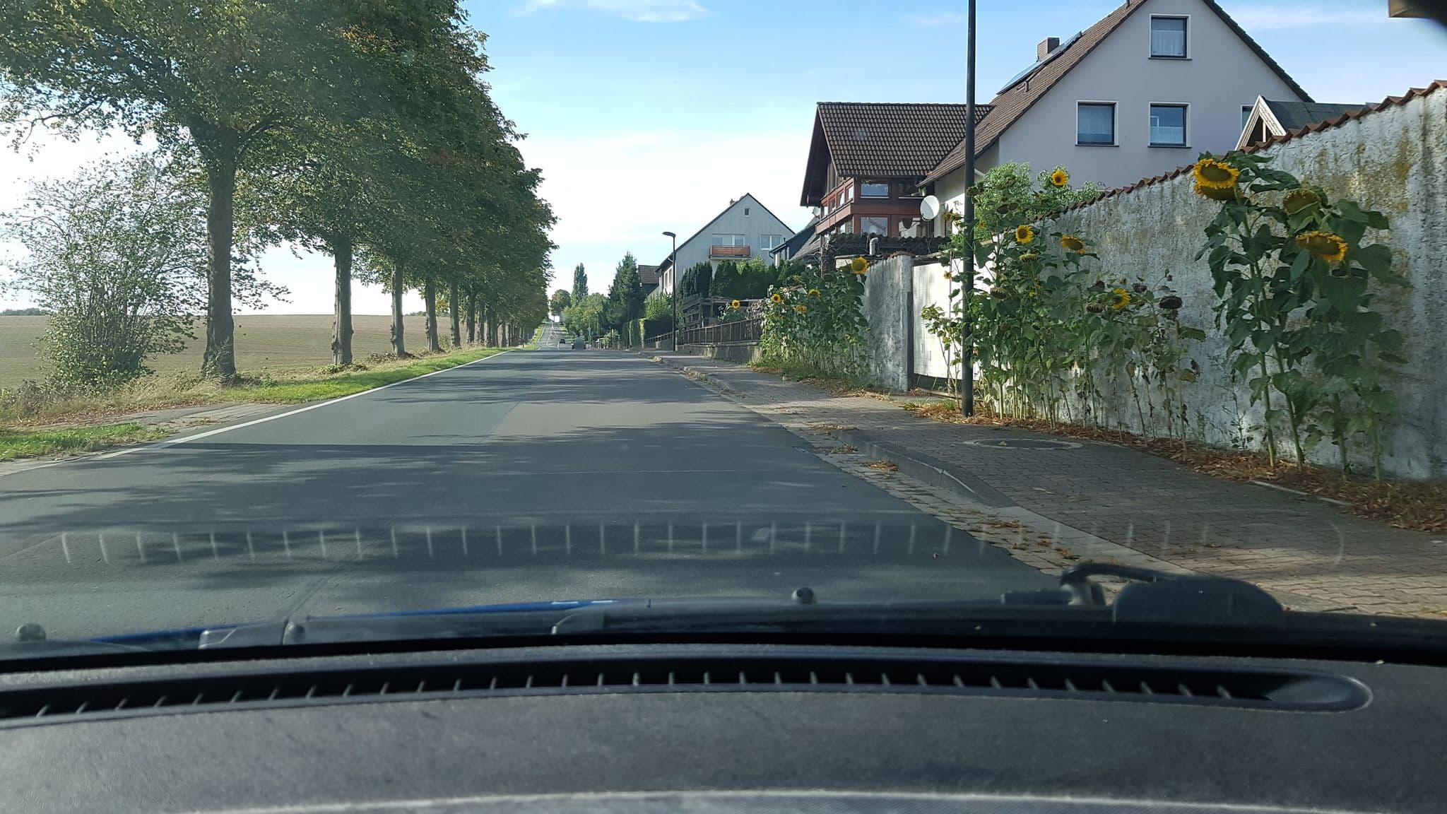 Street view near Waldhotel Garni, Hameln — © hotteliene (CC BY-SA · Mapillary)