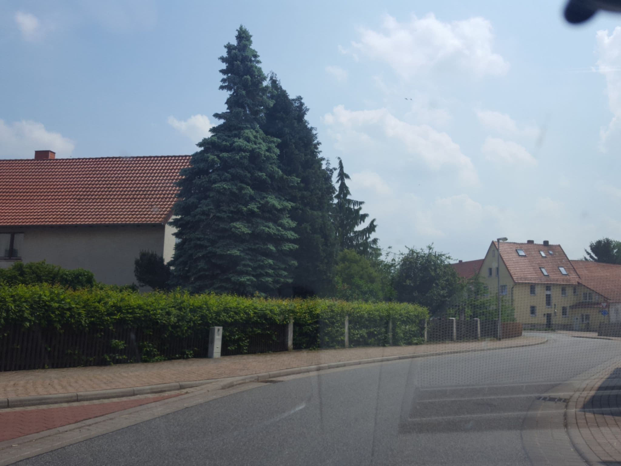 Street view near Ferien- & Kinderreitparadies, Wulften — © ghyze (CC BY-SA · Mapillary)