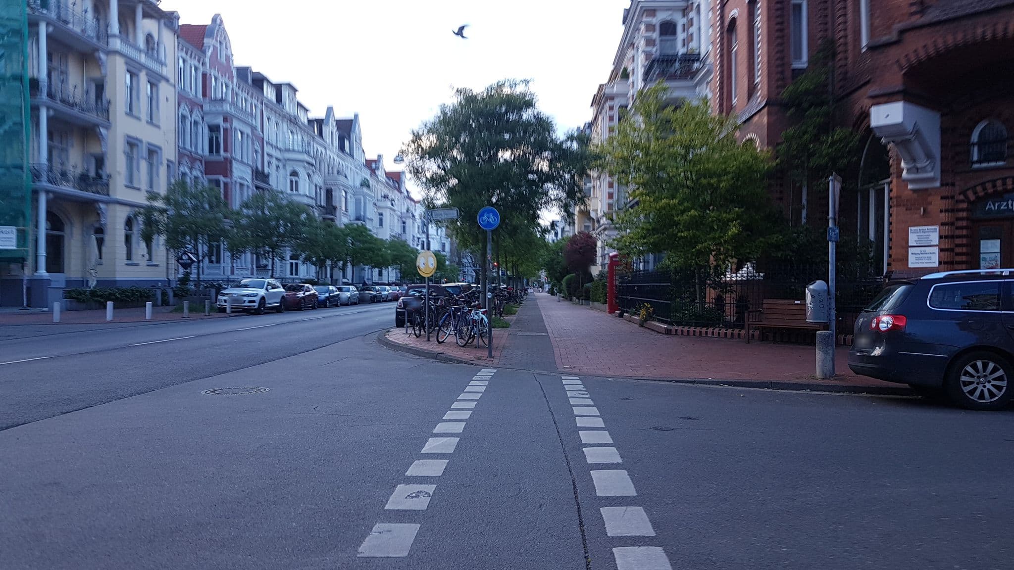 Street view near Pension Lärchenberg, Oststadt — © snowdiver (CC BY-SA · Mapillary)