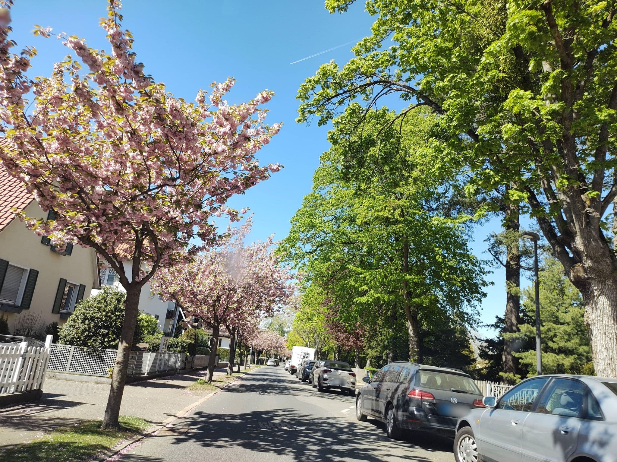 Street view near Ferienhaus Am Stadtpark, Bad Harzburg — © thetornado76 (CC BY-SA · Mapillary)