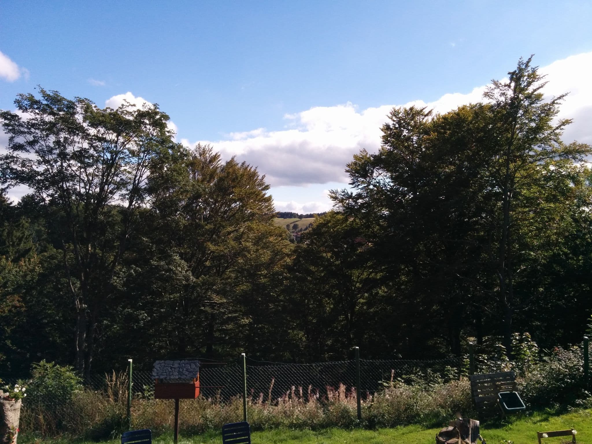 Street view near 4 Sterne Haus Tina, Sankt Andreasberg — © bitnapper (CC BY-SA · Mapillary)