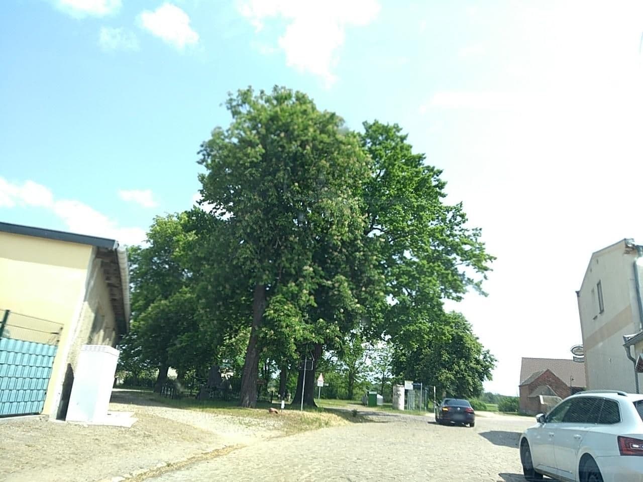 Street view near Gasthof Patzetz Inh. Claudia Kotzur, Groß Rosenburg — © thetornado76 (CC BY-SA · Mapillary)