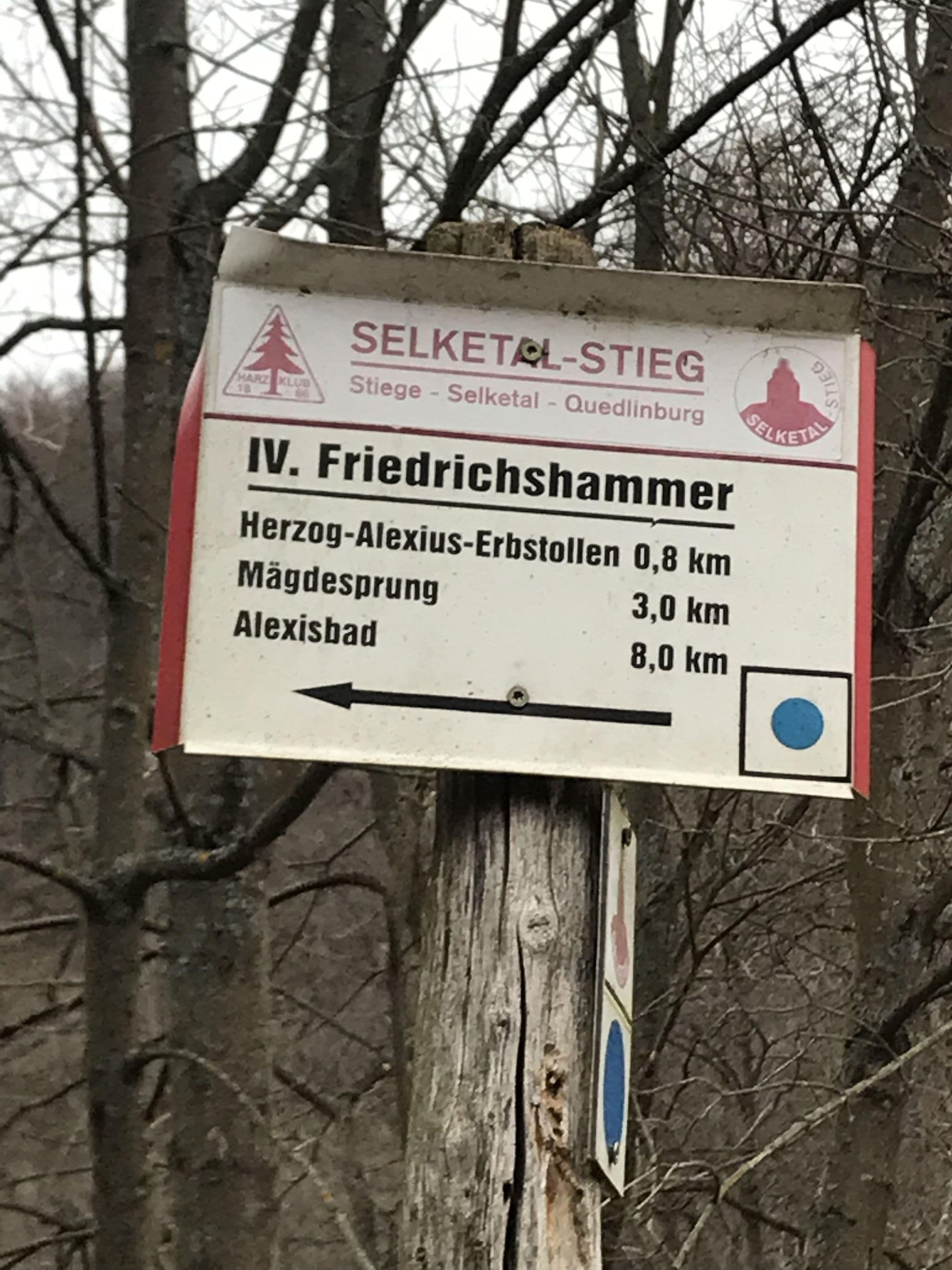 Street view near IV. Friedrichshammer, Harzgerode — © surveyor99 (CC BY-SA · Mapillary)