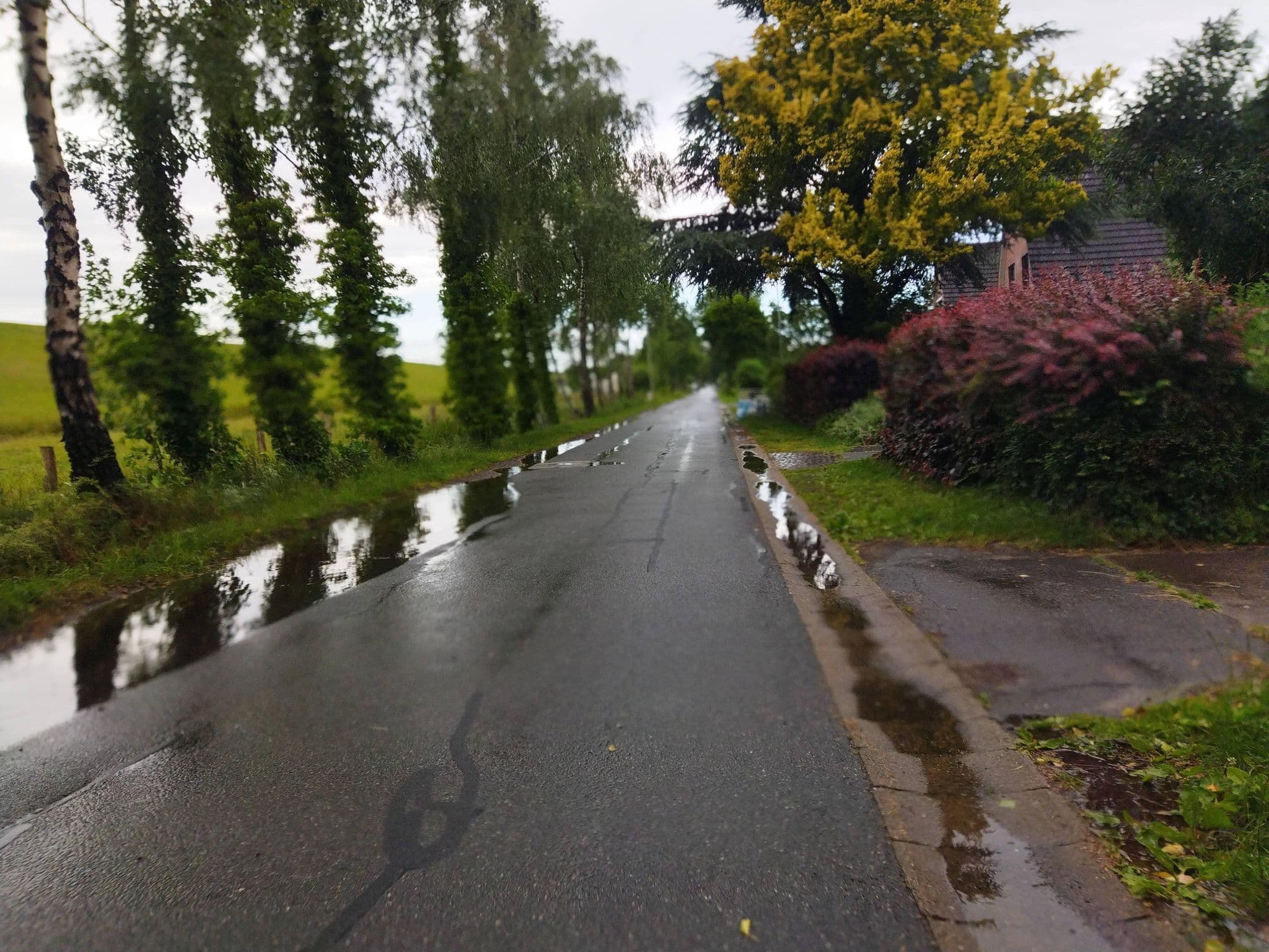 Street view near Strandhaus Kollmar - Magens / Picard, Kollmar — © changchun1 (CC BY-SA · Mapillary)