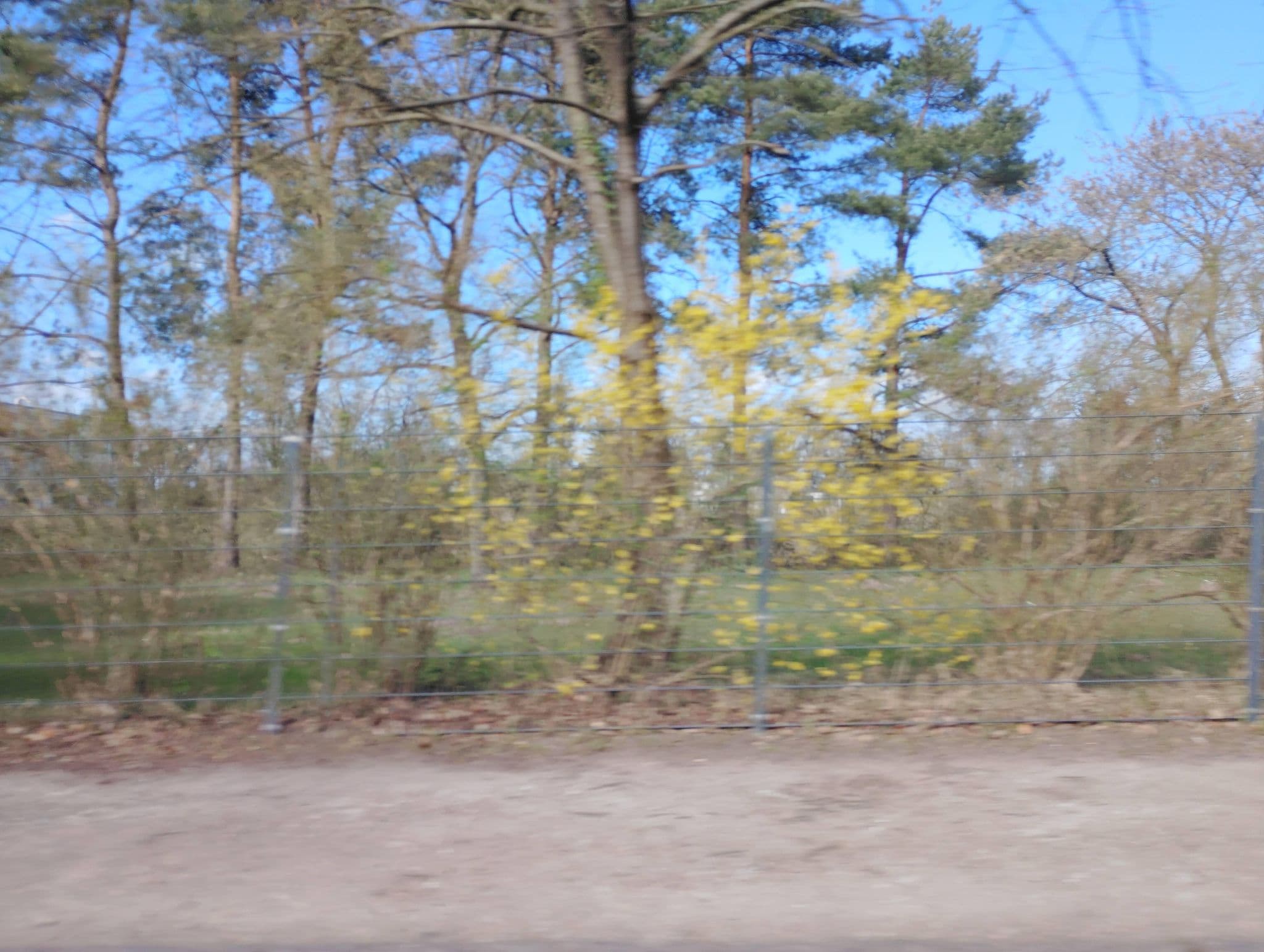 Street view near Arcadia Hotels & More Management GmbH, Blankenese — © Natrium11 (CC BY-SA · Mapillary)