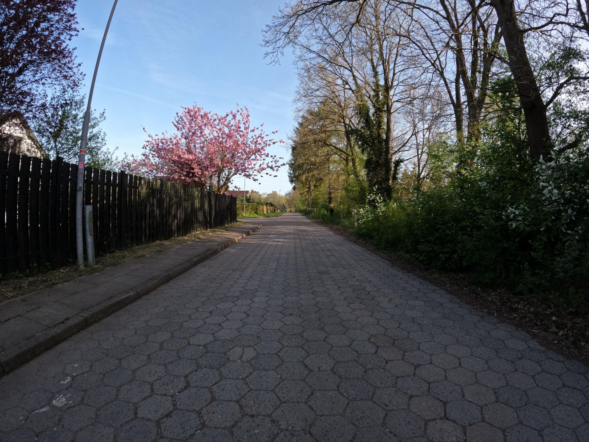 Street view near Buena Vista Ashausen/Hamburg, Stelle — © suelfmeister (CC BY-SA · Mapillary)