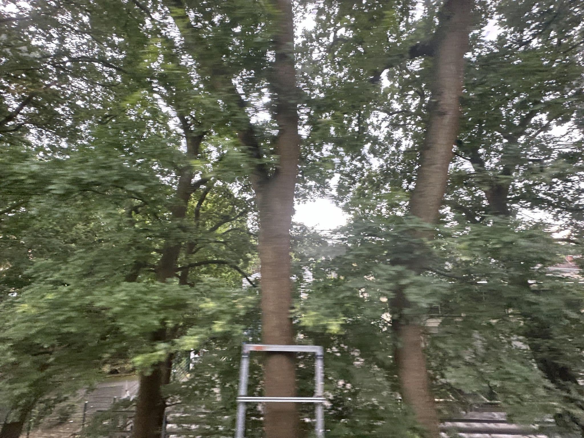 Street view near Braunsberger Ferienwohnungen, Dulsberg — © quickness805 (CC BY-SA · Mapillary)