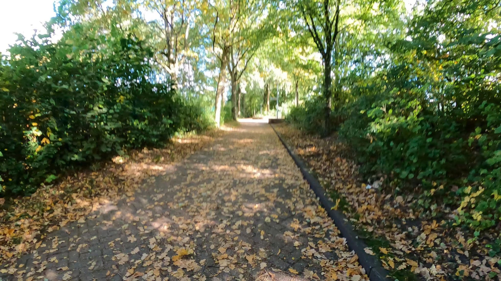 Street view near Jugendforum Tonne, Kisdorf — © veloroute_hamburg (CC BY-SA · Mapillary)