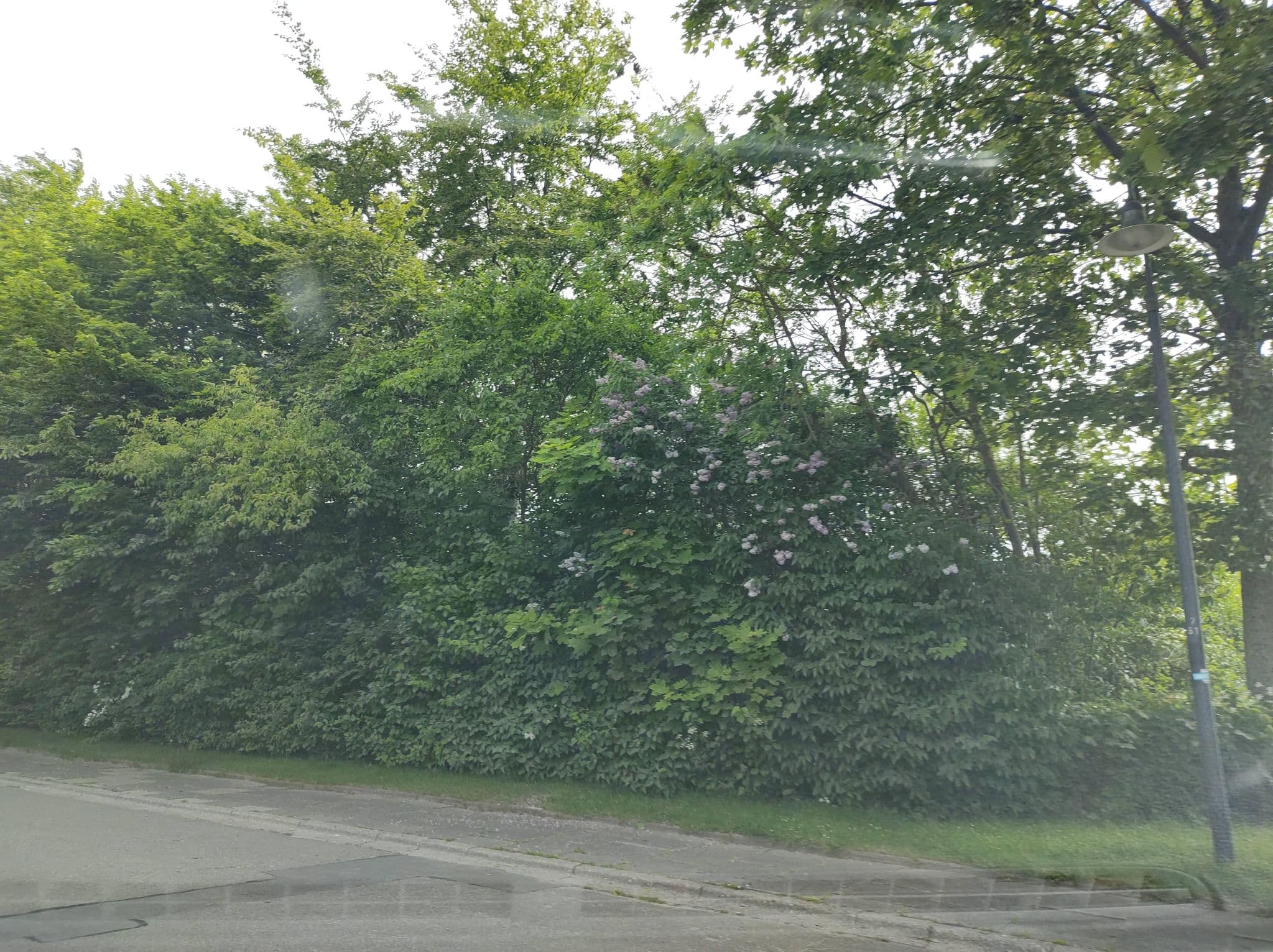 Street view near Ferienhaus Familie Mischkies, Damp — © thetornado76 (CC BY-SA · Mapillary)