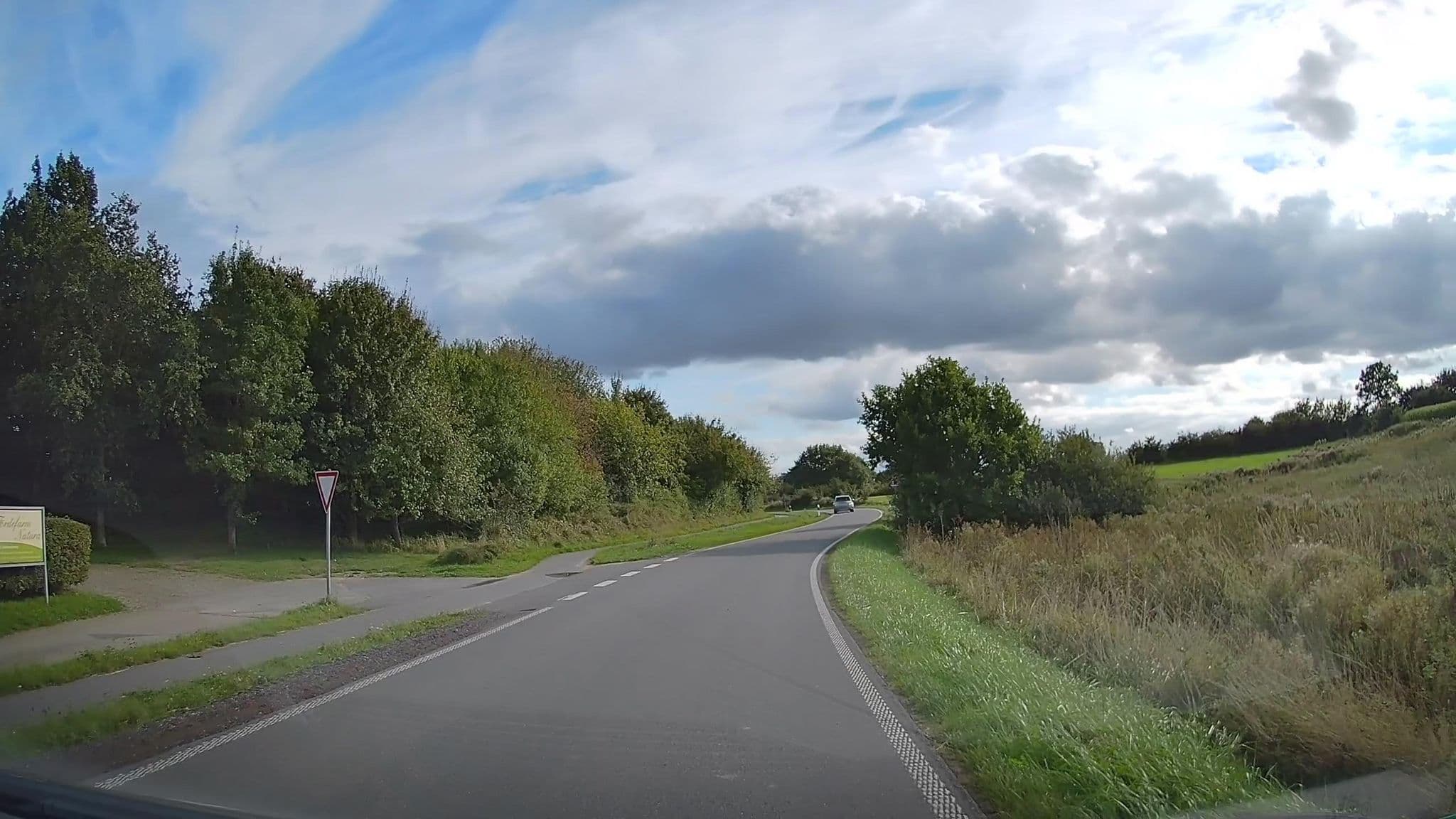 Street view near Schulwald, Dollerup — © hendel (CC BY-SA · Mapillary)