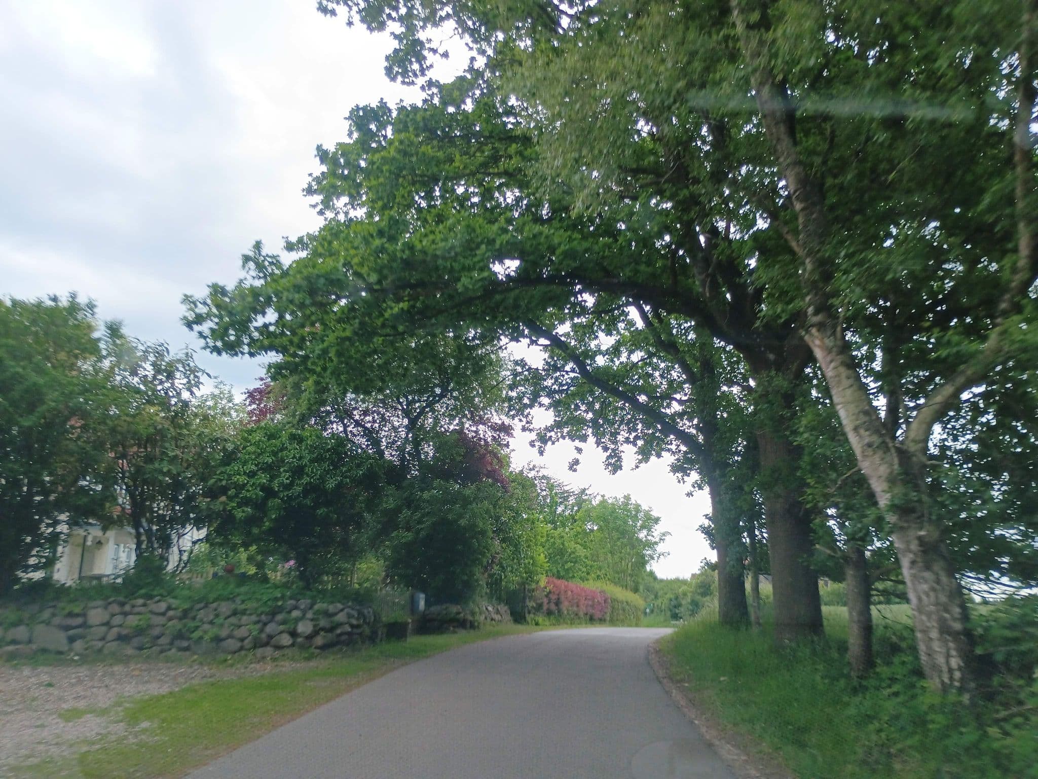 Street view near Landhotel Rosenduft, Waabs — © thetornado76 (CC BY-SA · Mapillary)