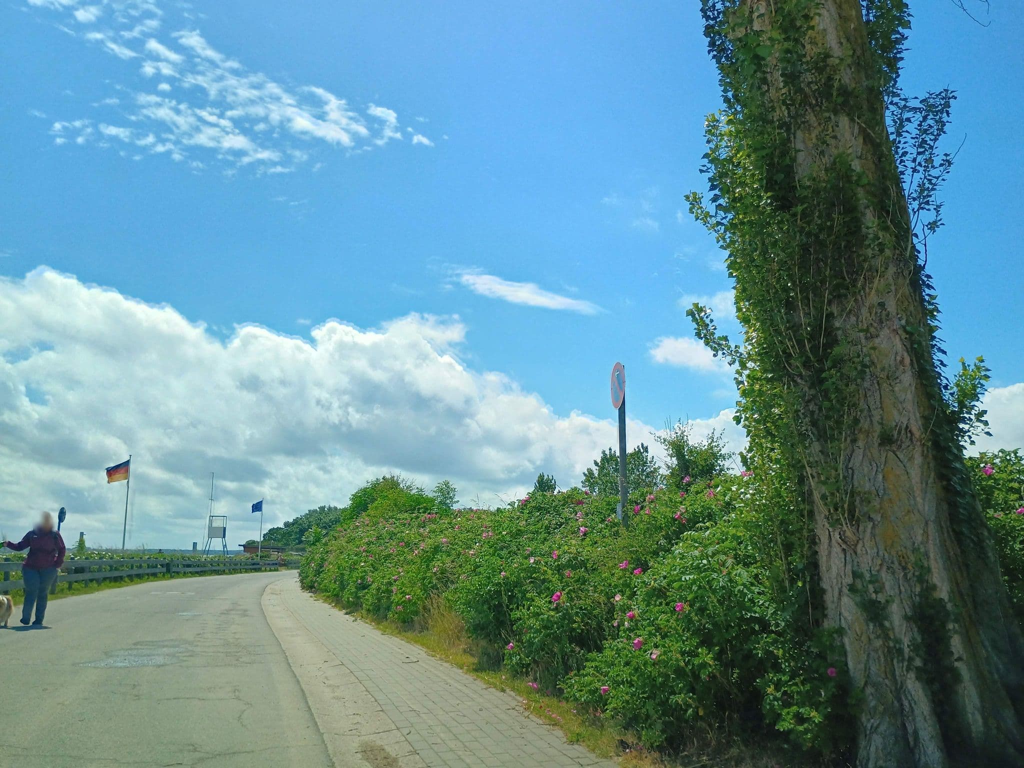 Street view near ADS Schullandheim, Waabs — © thetornado76 (CC BY-SA · Mapillary)