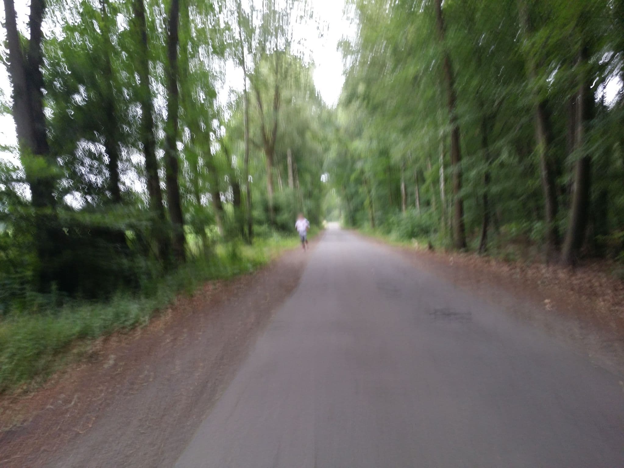 Street view near Waldhof Böhmsholz, Reppenstedt — © abmap (CC BY-SA · Mapillary)