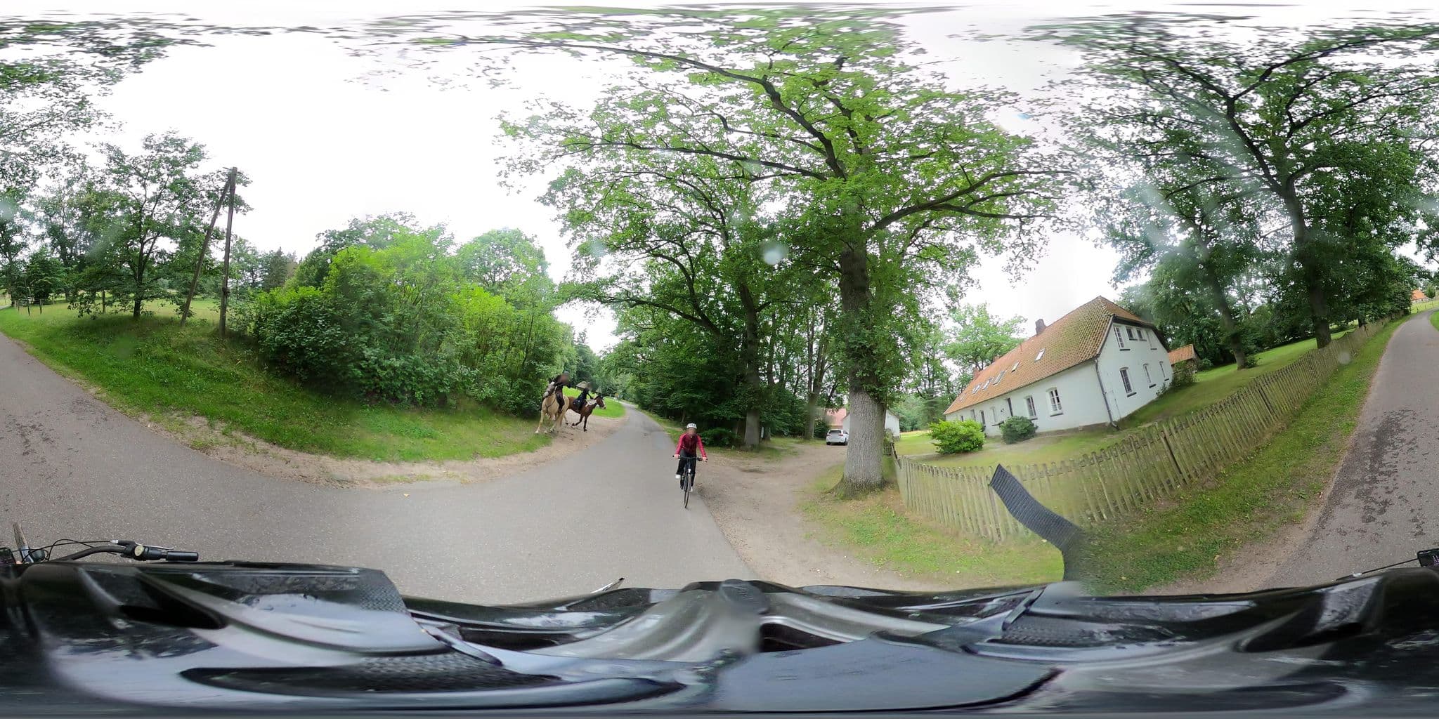Street view near Forstgut Rehrhof, Soderstorf — © carlottacordes (CC BY-SA · Mapillary)