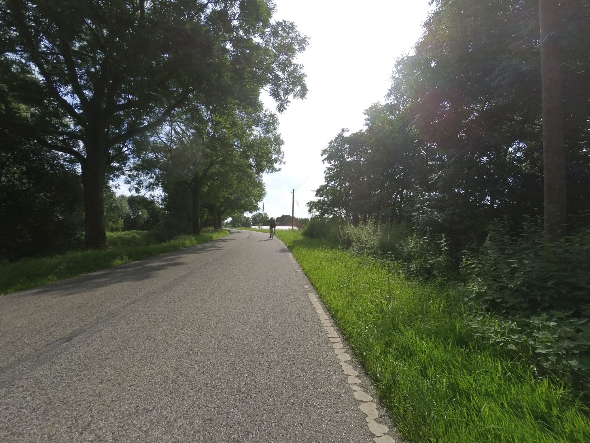 Street view near Pension Möller, Allermöhe — © mjay (CC BY-SA · Mapillary)