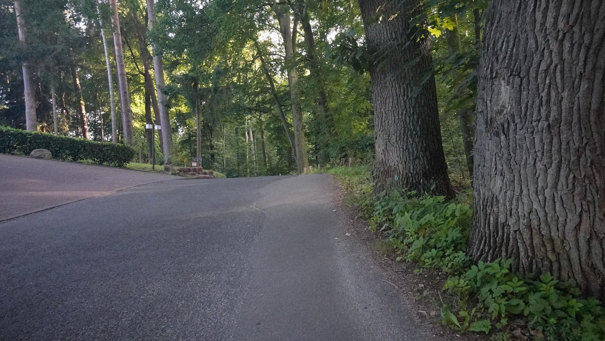 Street view near Restaurant & Hotel Waldhalle GmbH, Mölln — © skaycle (CC BY-SA · Mapillary)