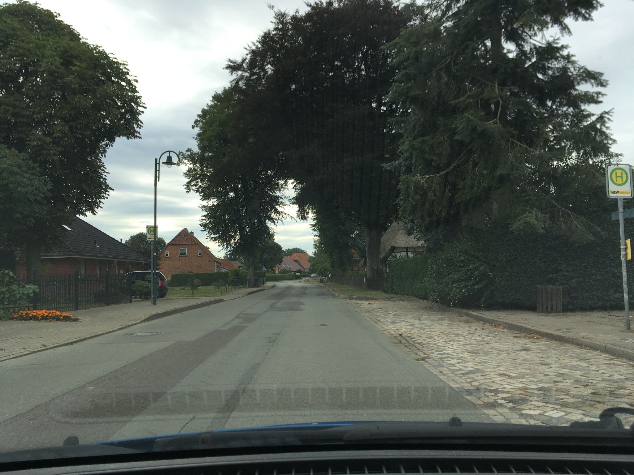 Street view near Hotel und Landgasthof Zum Hahn, Dümmer — © hotteliene (CC BY-SA · Mapillary)
