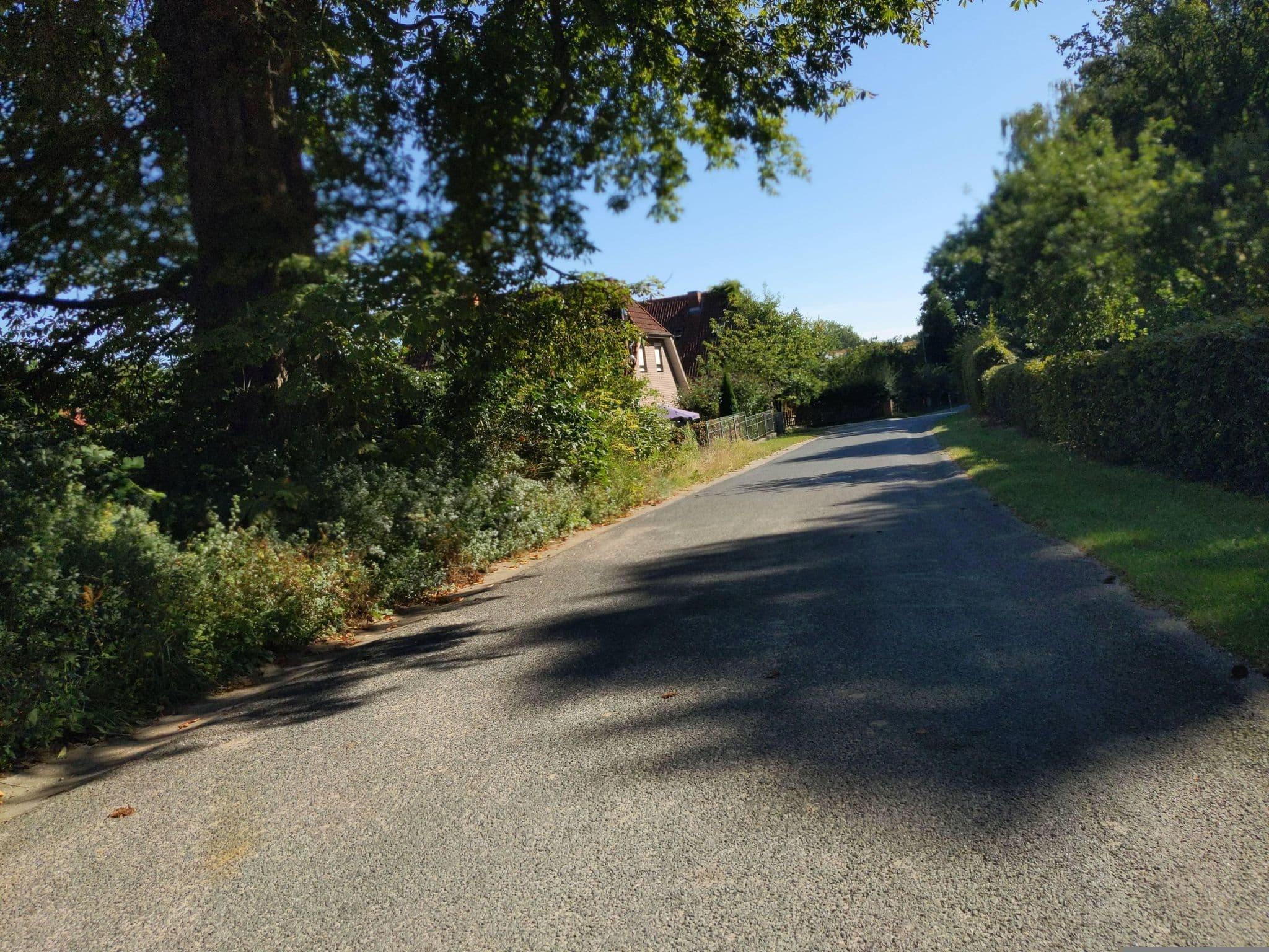 Street view near Bernd-Ulrich Wulff Landwirtschaft, Zarrentin am Schaalsee — © rasmustravemnd (CC BY-SA · Mapillary)