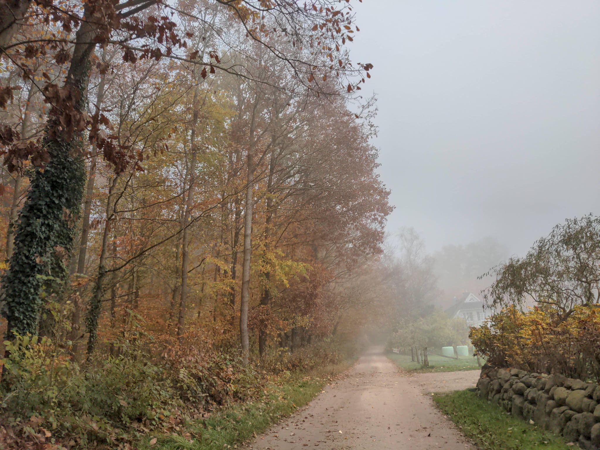 Street view near Carstens Trepka Gabriele Ferienwohnung, Eutin — © rasmustravemnd (CC BY-SA · Mapillary)