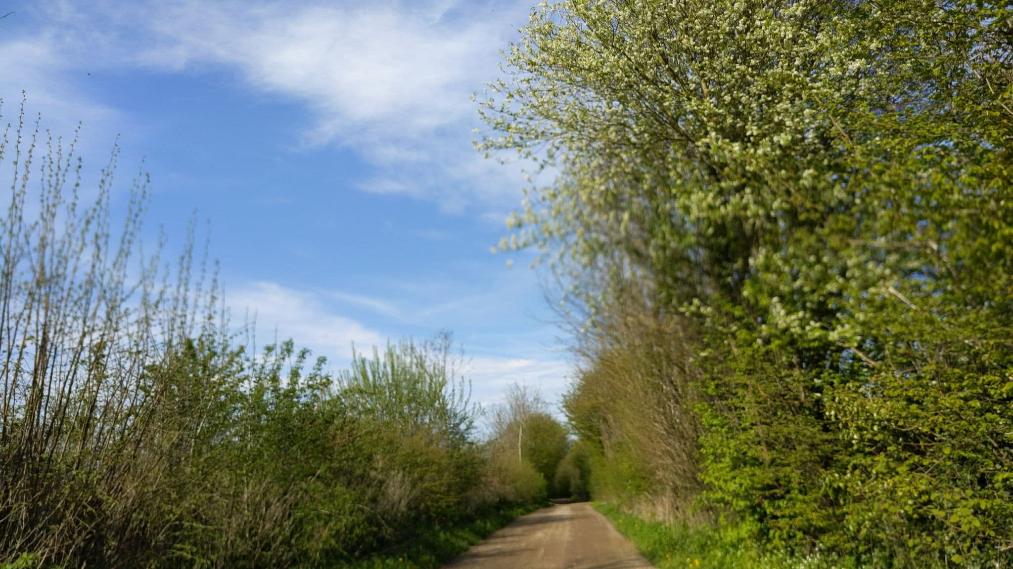 Street view near Gestüt Hof am See, Timmendorfer Strand — © rasmustravemnde (CC BY-SA · Mapillary)