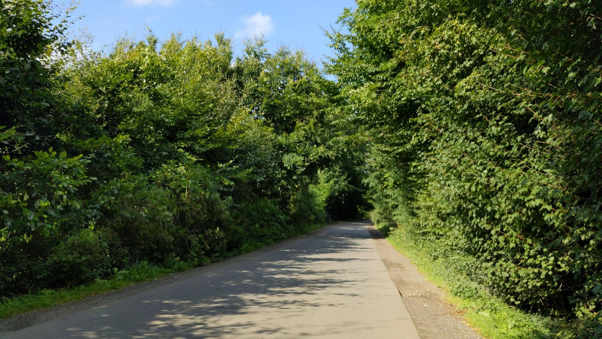Street view near Ostsee-Forsthaus Süsel, Kasseedorf — © rasmustravemnd (CC BY-SA · Mapillary)
