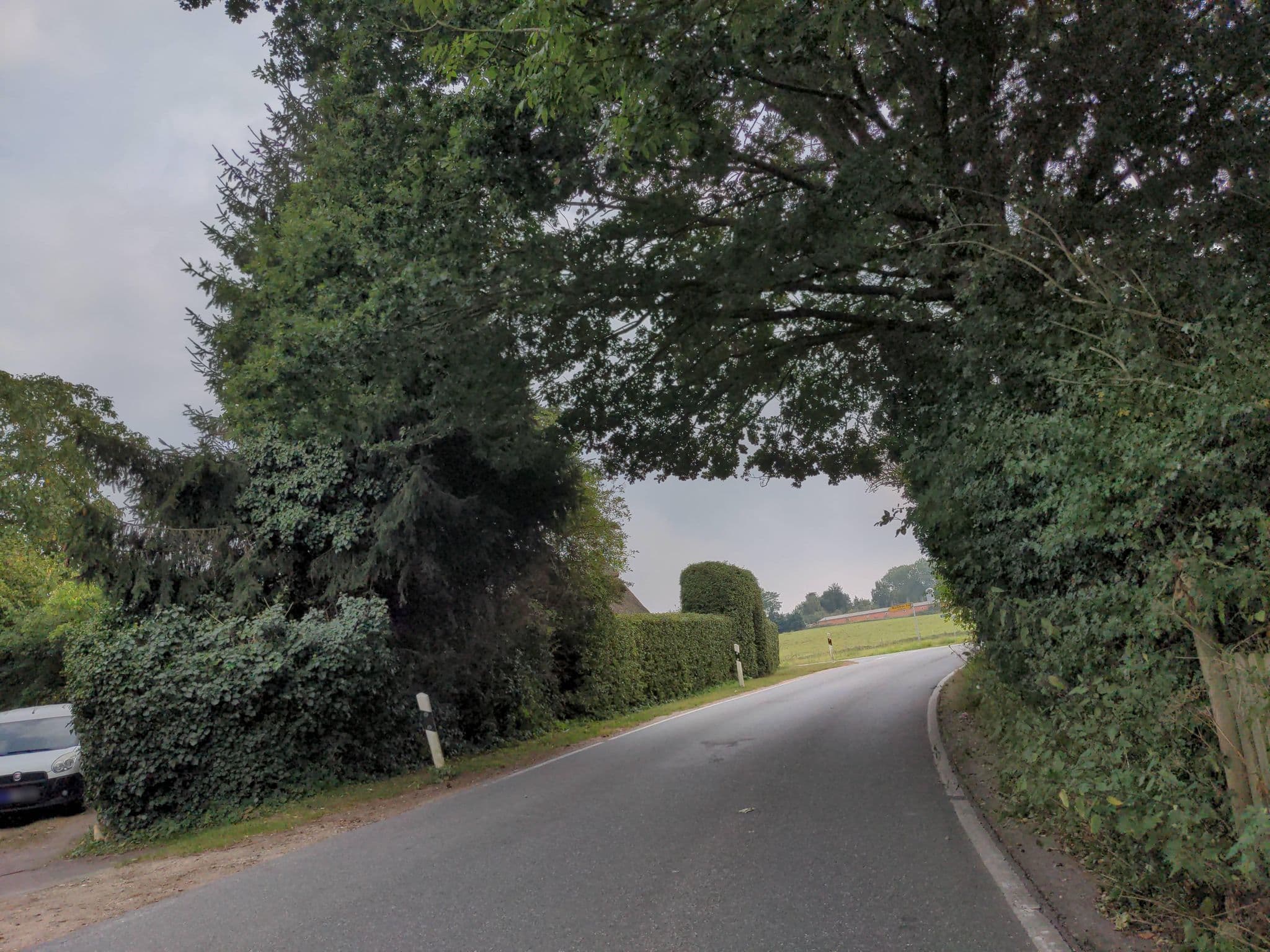 Street view near Kaiserhof Goldenbek, Pronstorf — © rasmustravemnd (CC BY-SA · Mapillary)