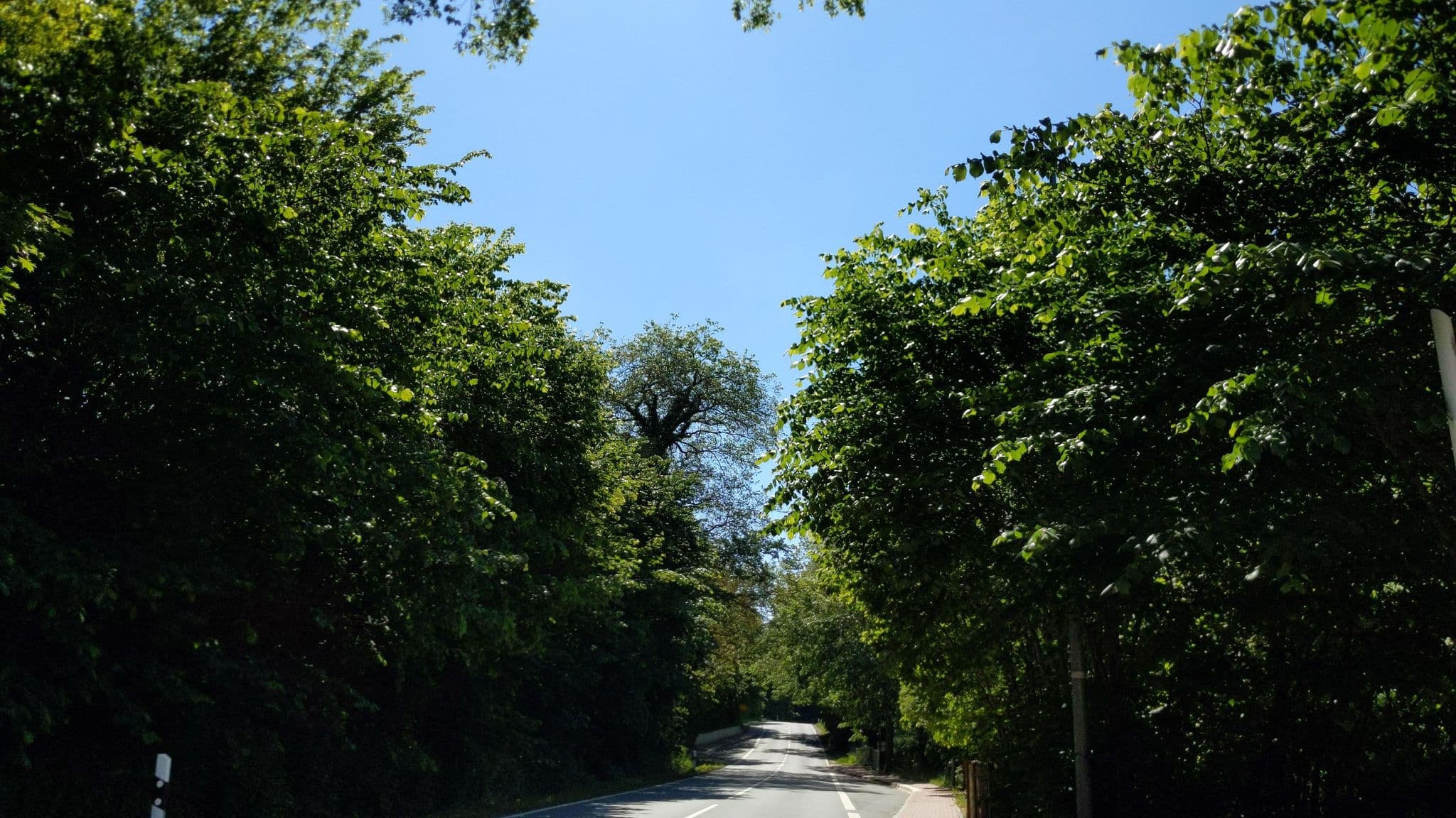 Street view near Hotel Redderkrug, Eutin — © rasmustravemnd (CC BY-SA · Mapillary)