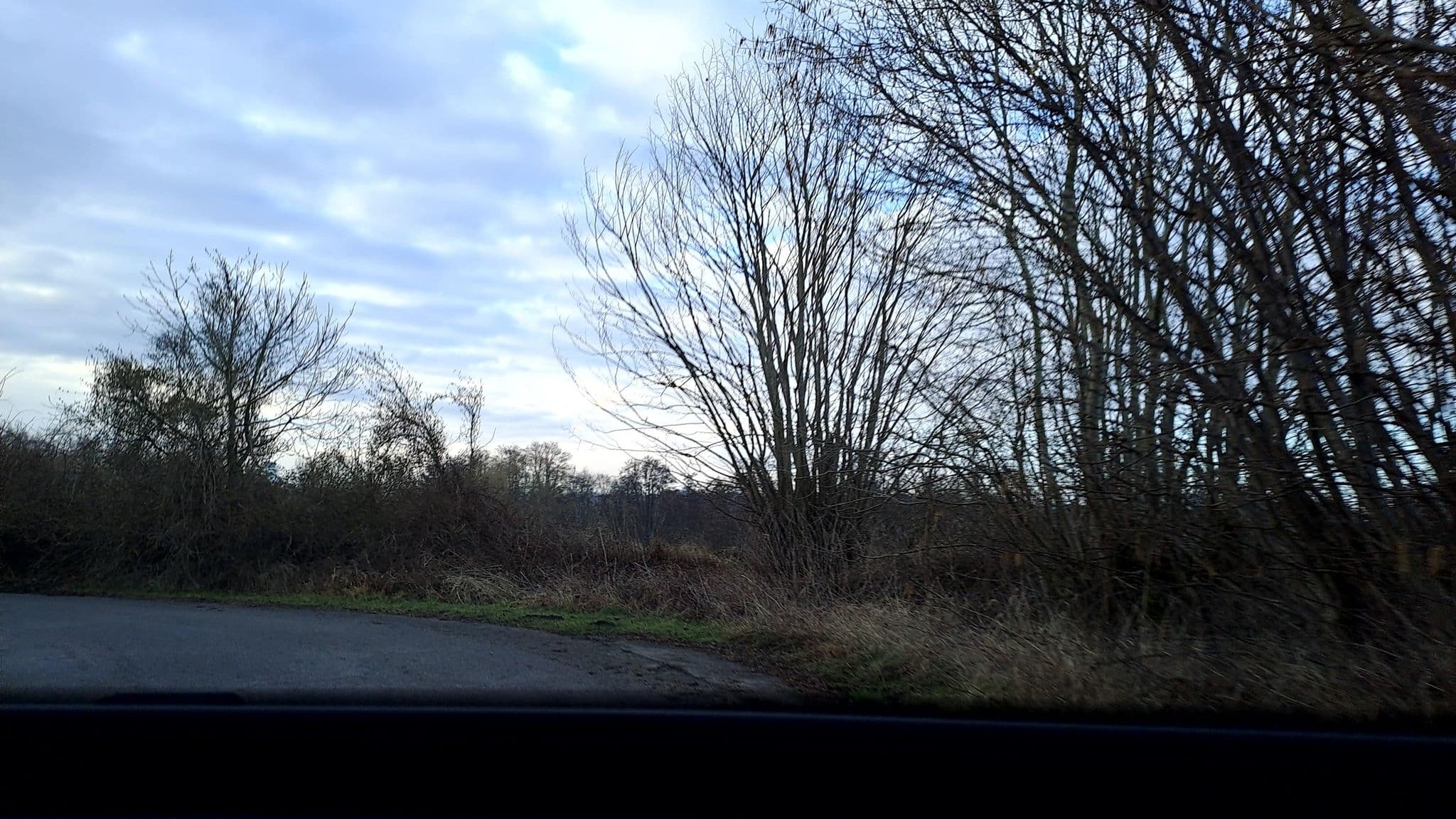 Street view near Landhaus Born, Panker — © lienus96 (CC BY-SA · Mapillary)