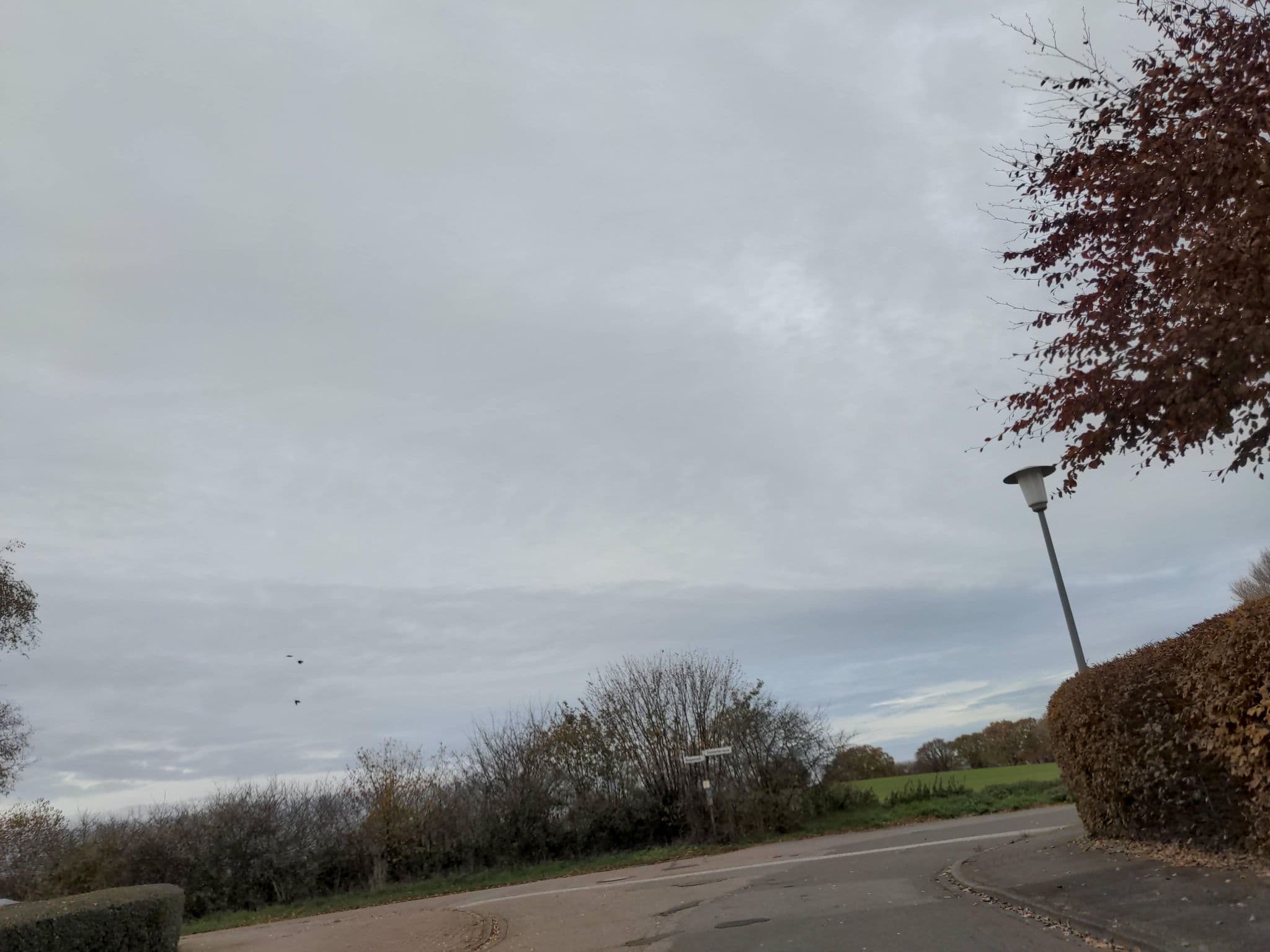Street view near Ferienwohnung Pelzerglück, Neustadt in Holstein — © rasmustravemnd (CC BY-SA · Mapillary)