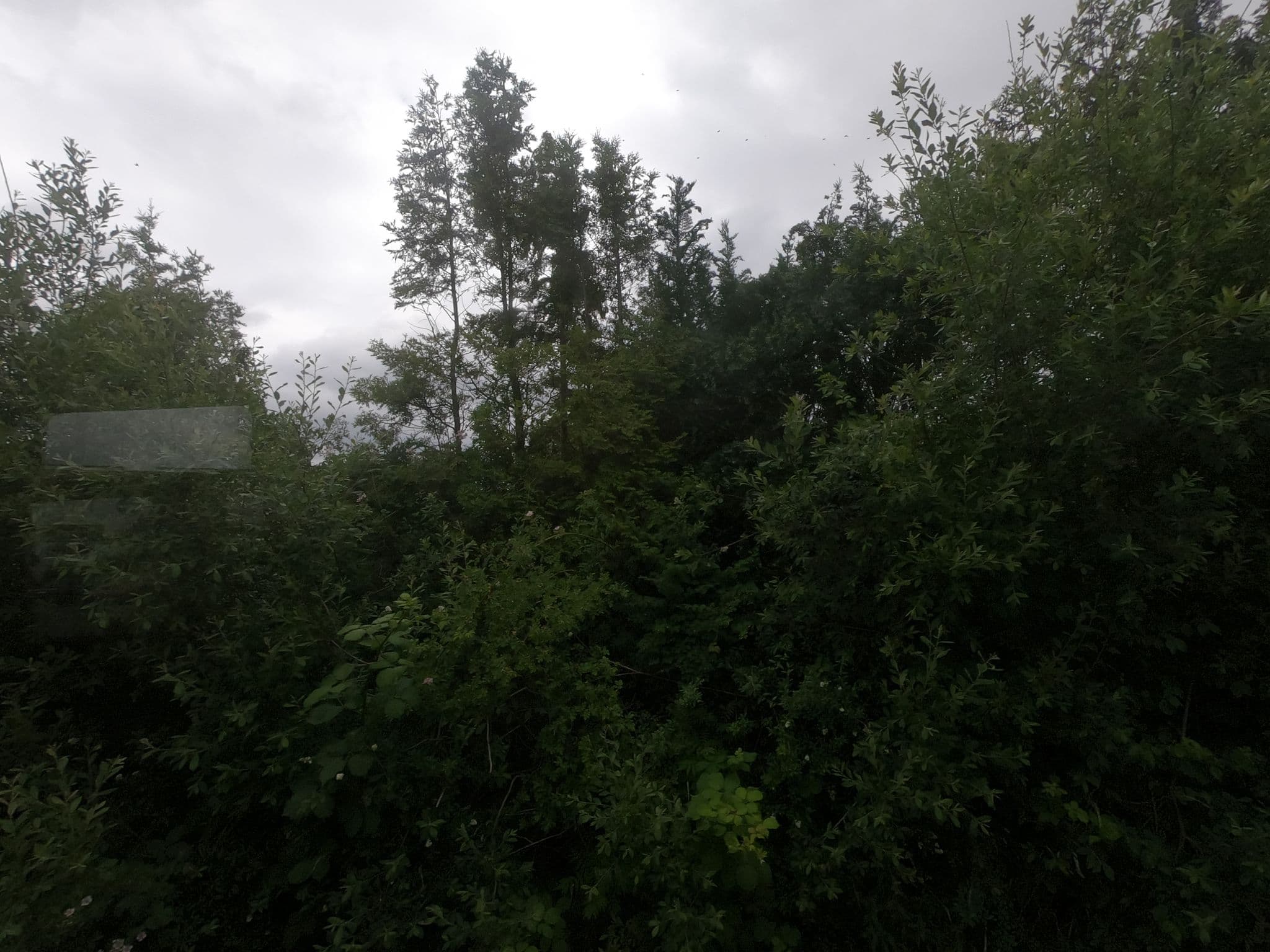 Street view near Yachthafenresidenz, Ostseebad Kühlungsborn — © carlheinz (CC BY-SA · Mapillary)