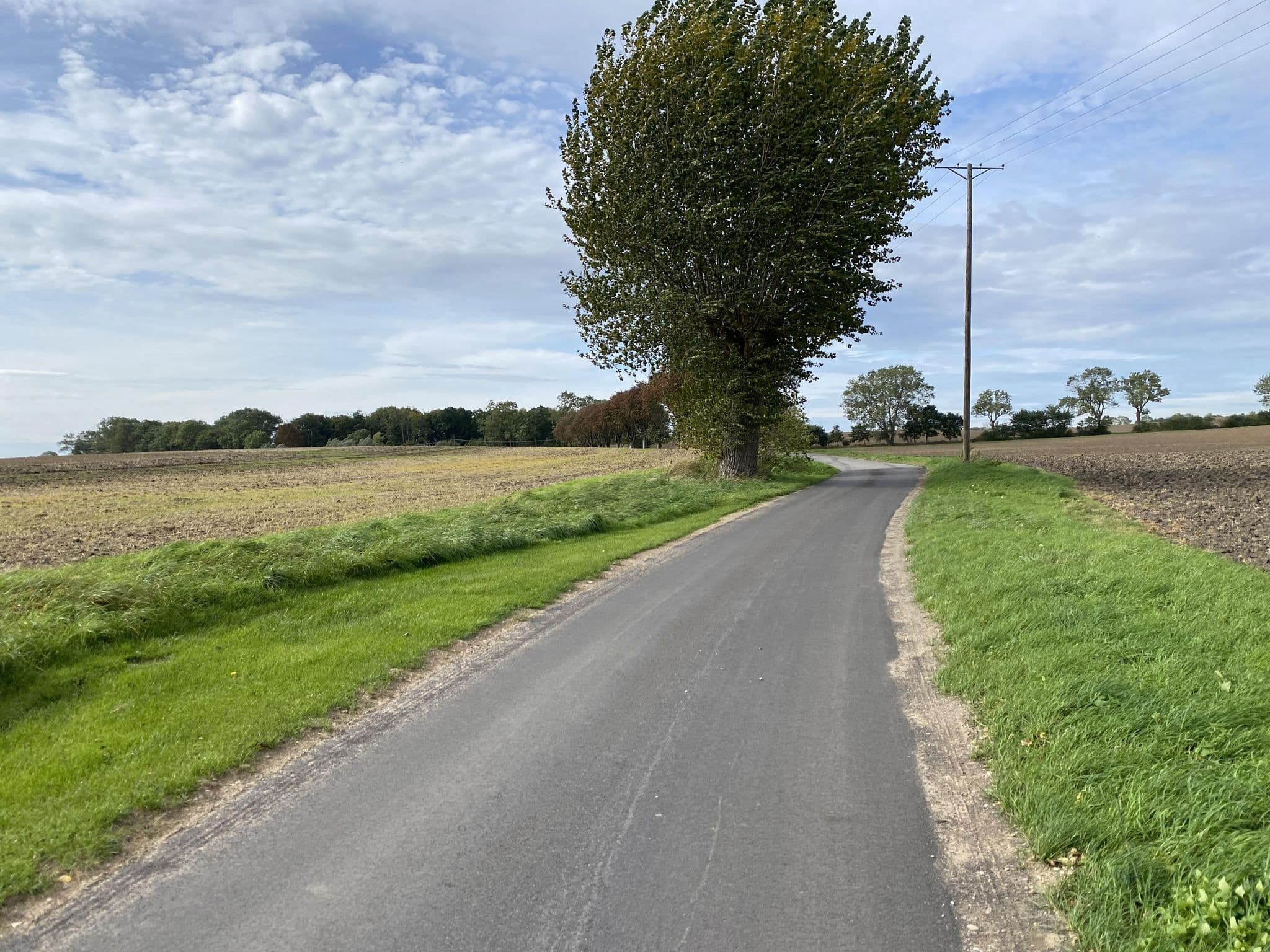 Street view near Siggeneben, Grube — © chuck (CC BY-SA · Mapillary)