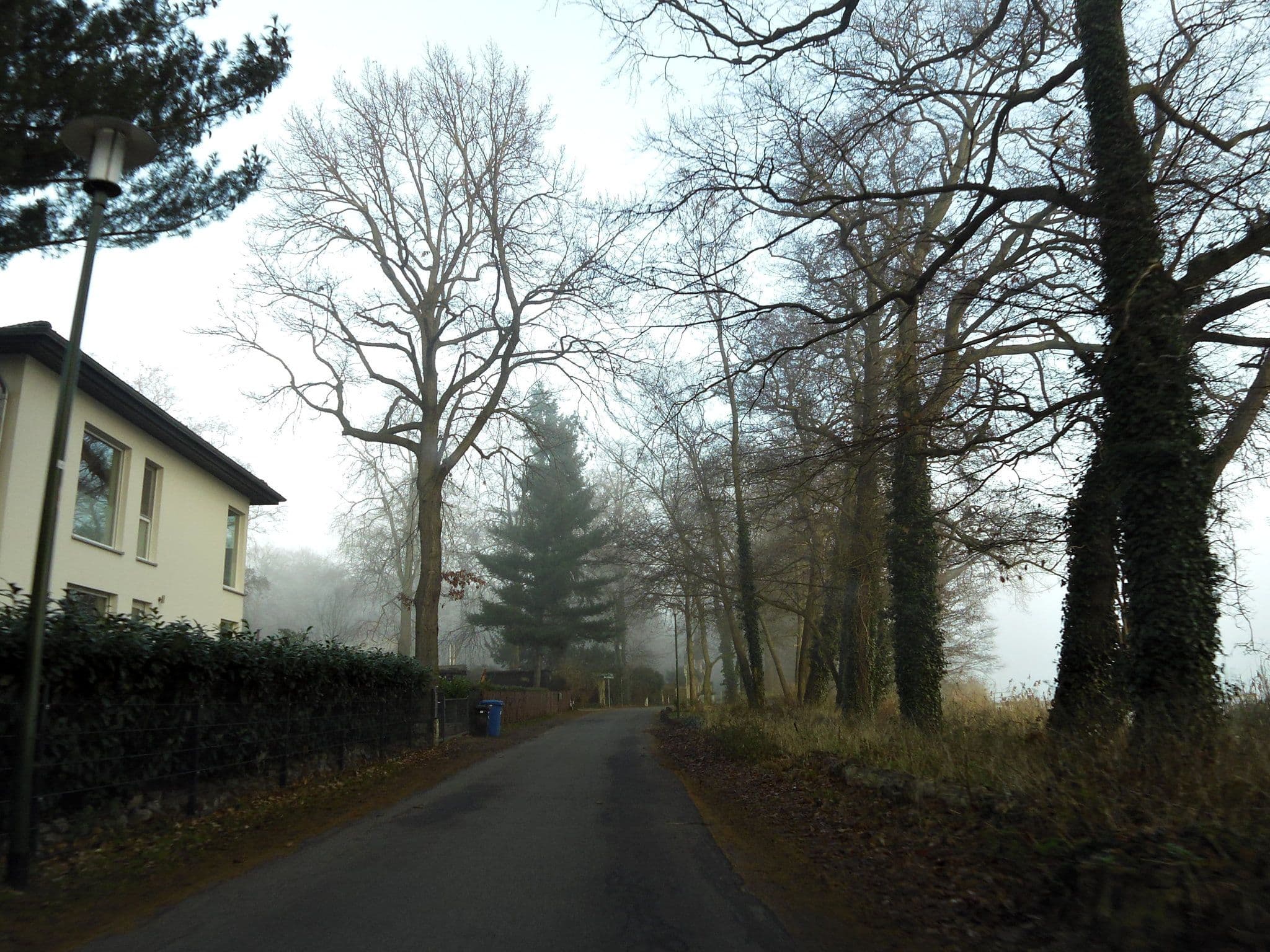 Street view near Elisabeth am See, Werder — © moenk (CC BY-SA · Mapillary)