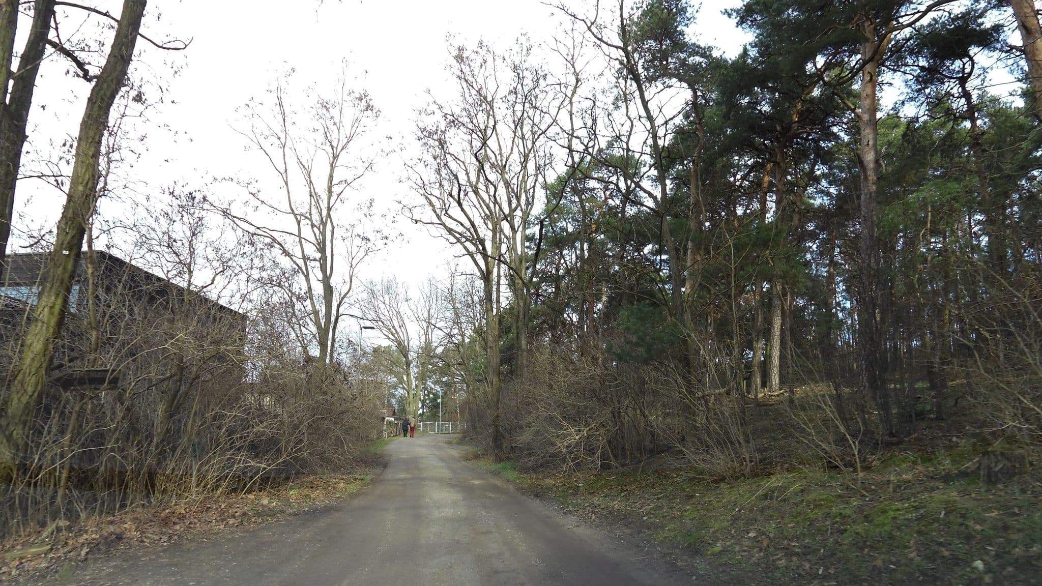 Street view near Ferienhaus Caputh, Familie Kaie, Michendorf — © moenk (CC BY-SA · Mapillary)