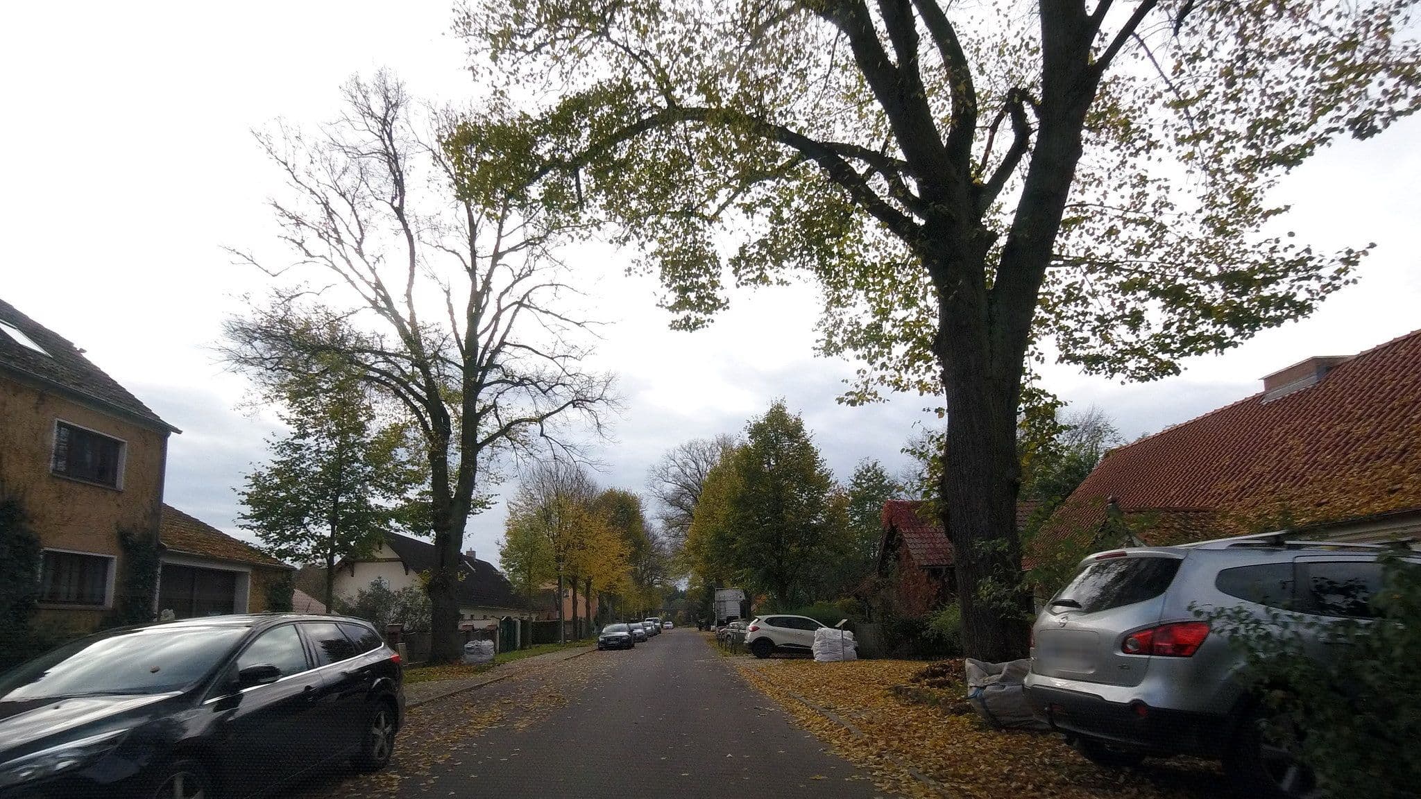Street view near Frühstückspension Das Landei, Borkheide — © fdmap (CC BY-SA · Mapillary)