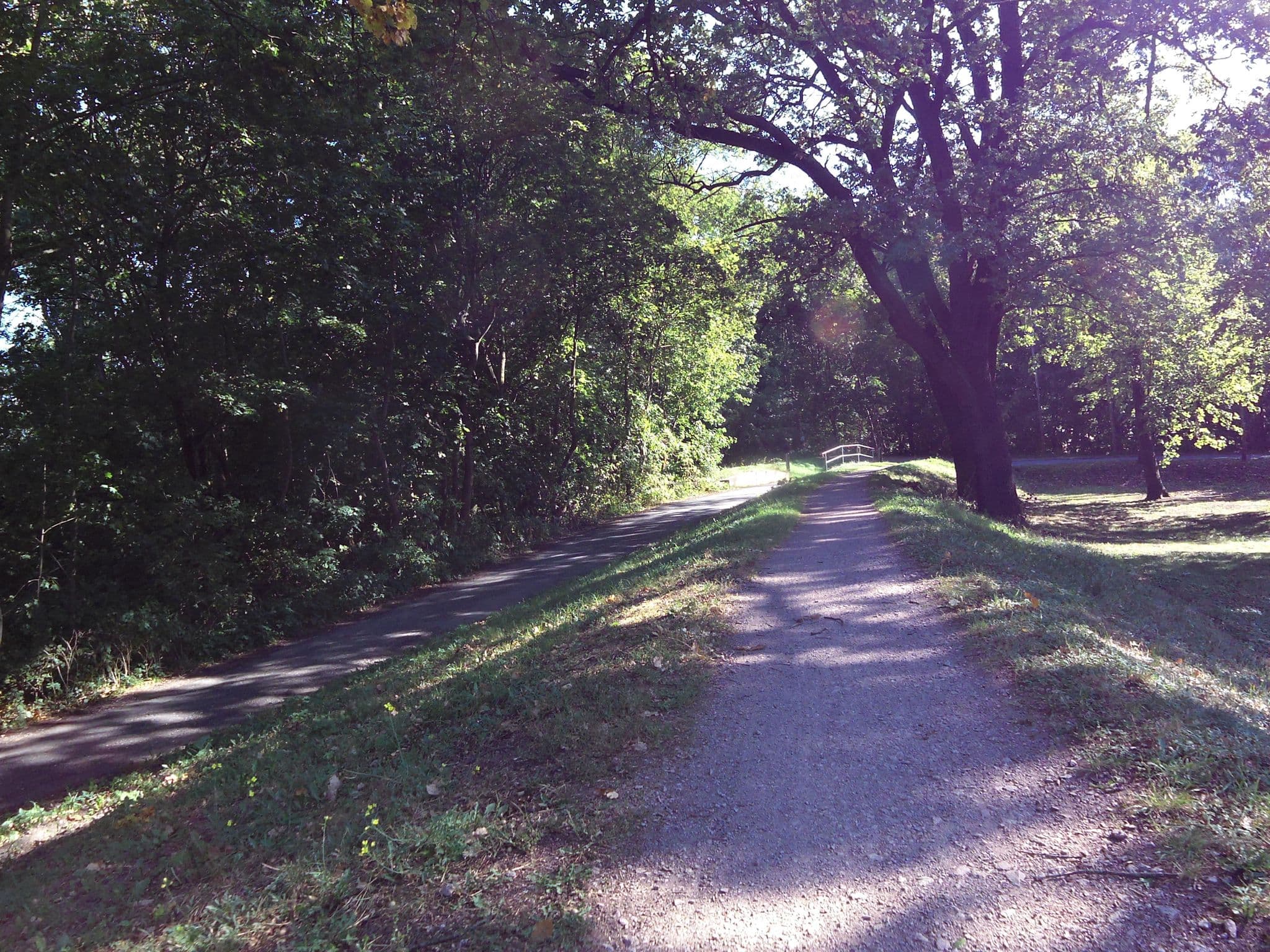 Street view near Elbpavillion, Dessau — © zoegglmeyr (CC BY-SA · Mapillary)