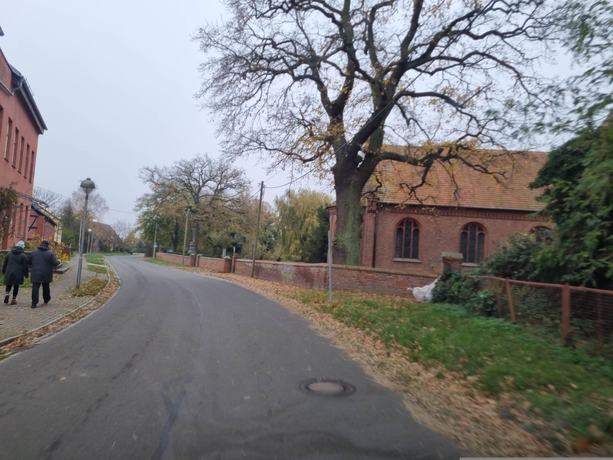 Street view near Botanische Botschaft, Rhinow — © dsmm (CC BY-SA · Mapillary)