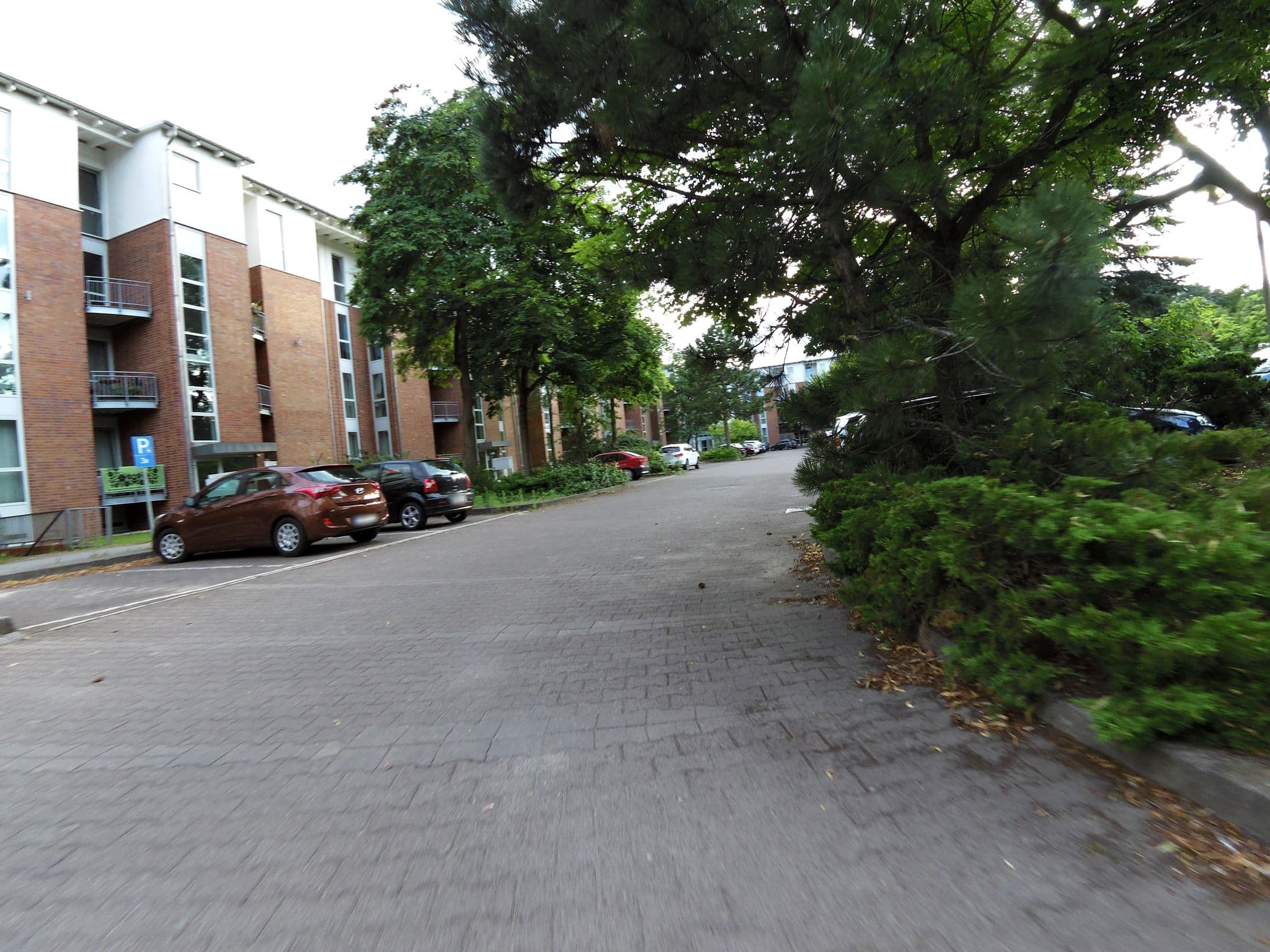 Street view near Clipper Garden Home, Lichterfelde — © moenk (CC BY-SA · Mapillary)